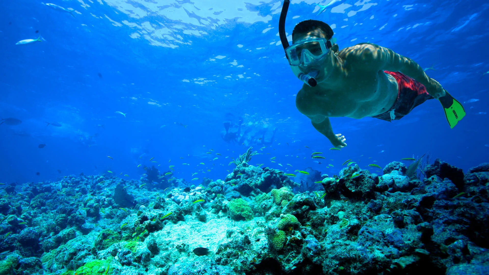 snorkel-key-west-6.jpg