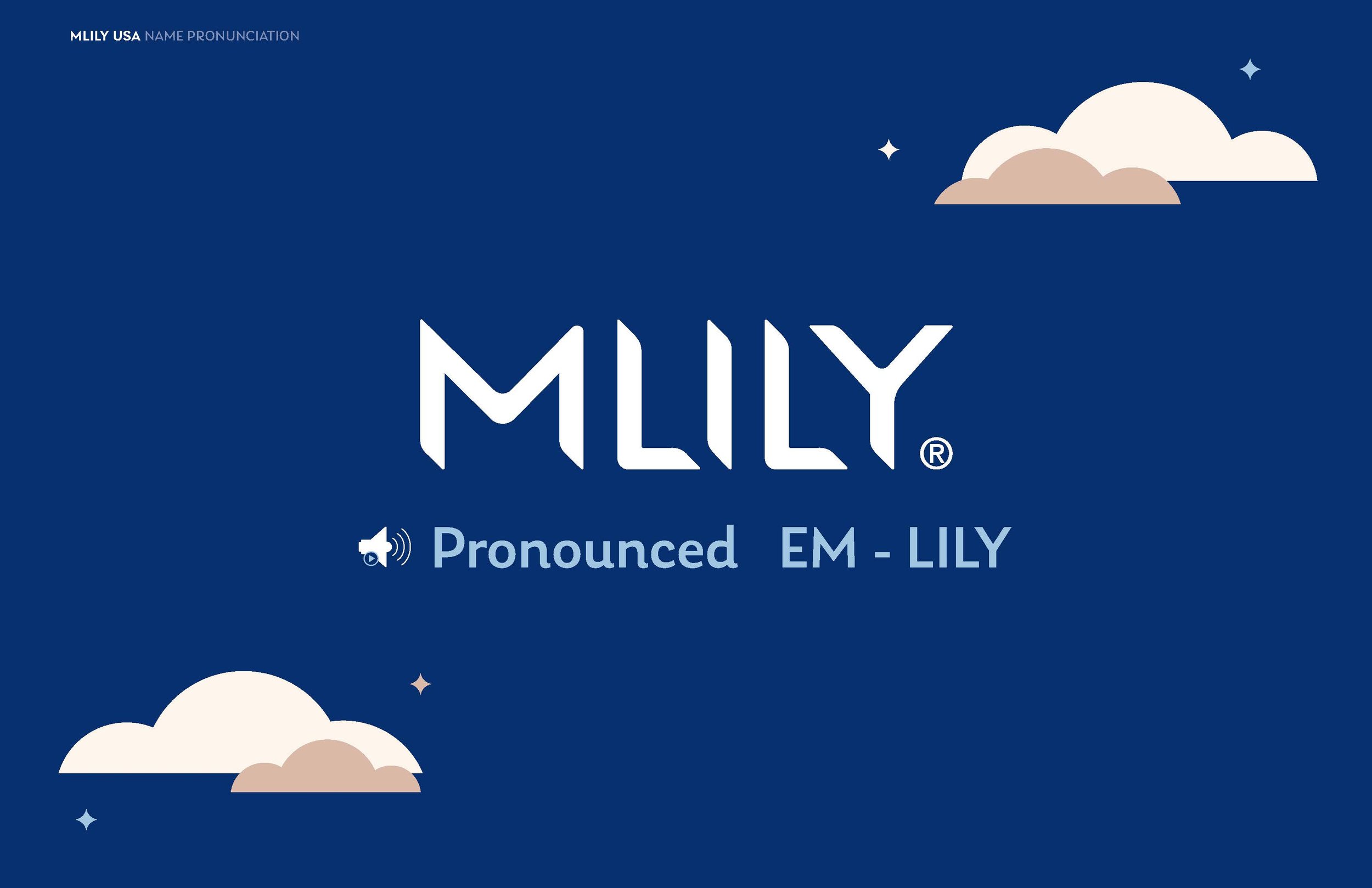 MLILY USA Brand Guidelines - with Pronunciation_Page_20.jpg