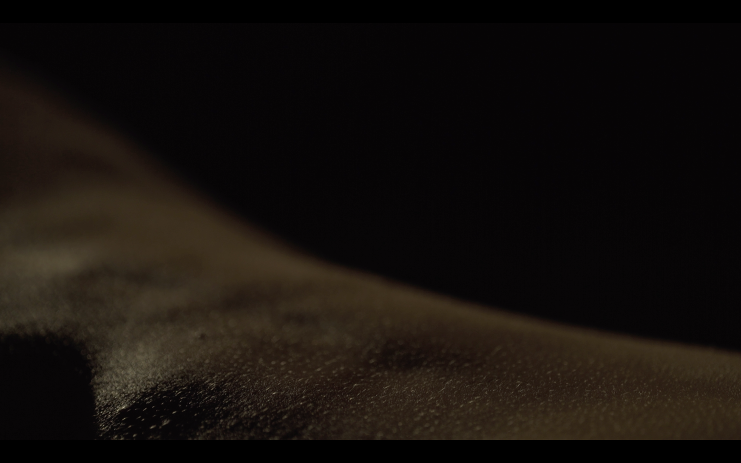 Screen Shot 2016-04-11 at 2.23.31 PM.png