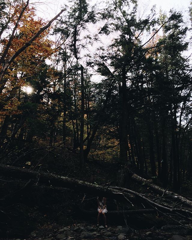 Been a while. What a beauty this Autumn eat beet 2.0 is huh?
.
I was out here
.
#ridingthewave🌊 .
.
.
#atumn🍁 #fall #spooky #digitalart #art #vermont #underhill #doingthings #nancy #hike #happy #friends #roadtrippin #cityescape #seasonalhappiness