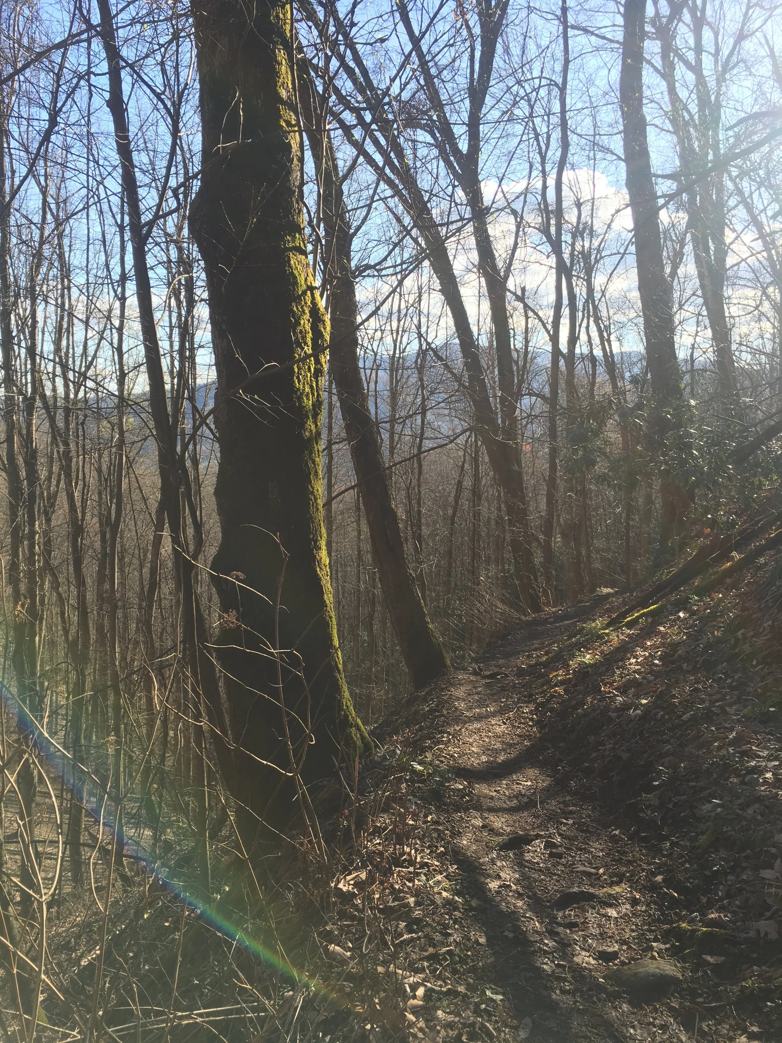 Constant views of the surrounding mountains and those that lie ahead.