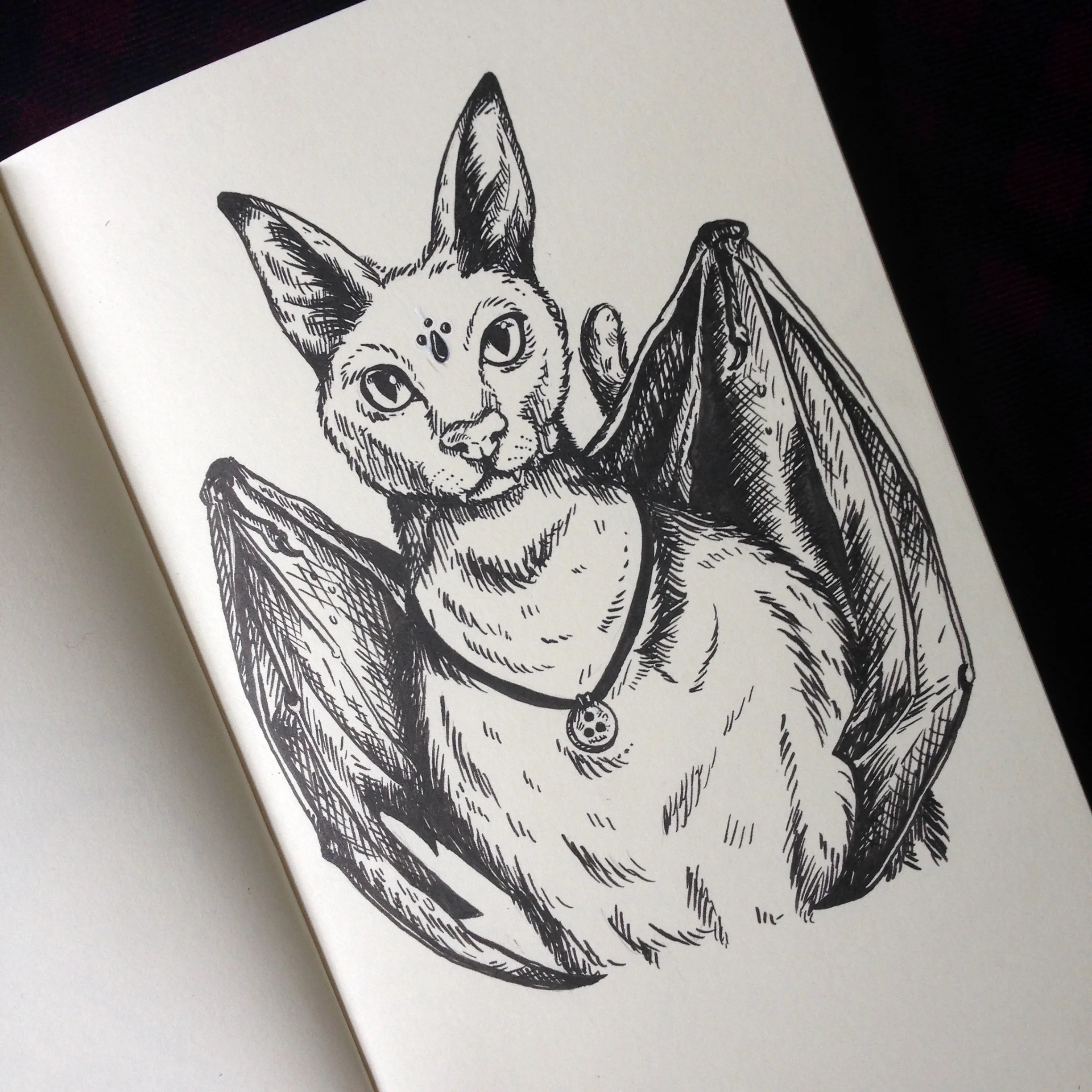 Day Seventeen - Bat-Cat Hybrid