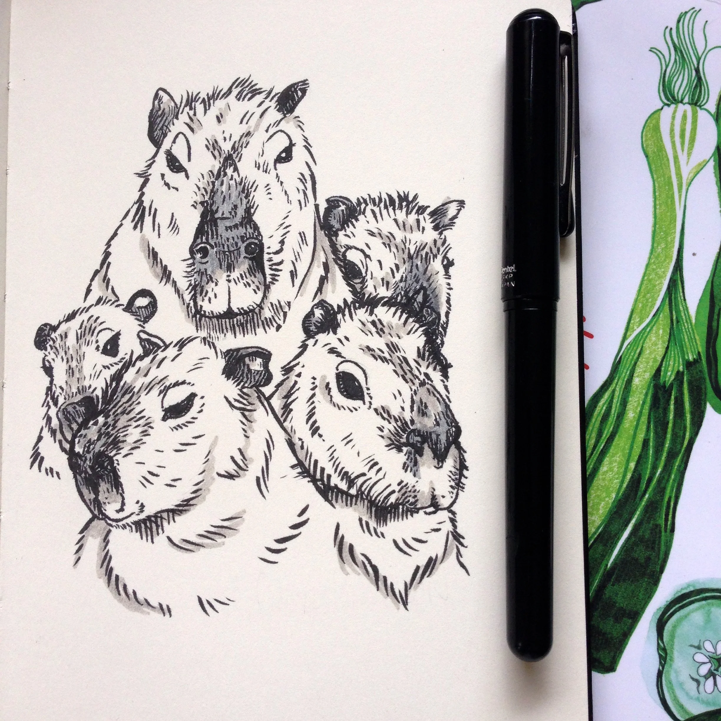 SOLD - Day Twenty-One - Capybara