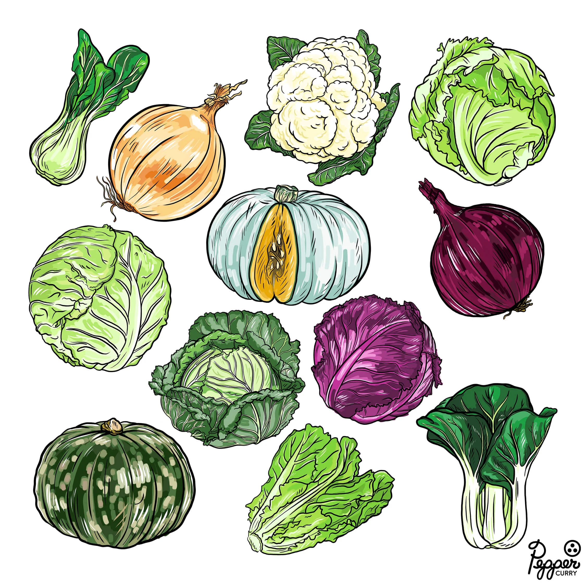 R C Hari & Sons Produce Illustrations