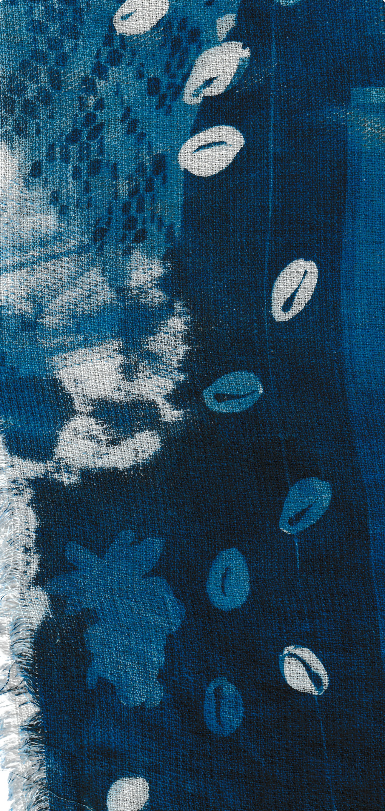 Cowries.png