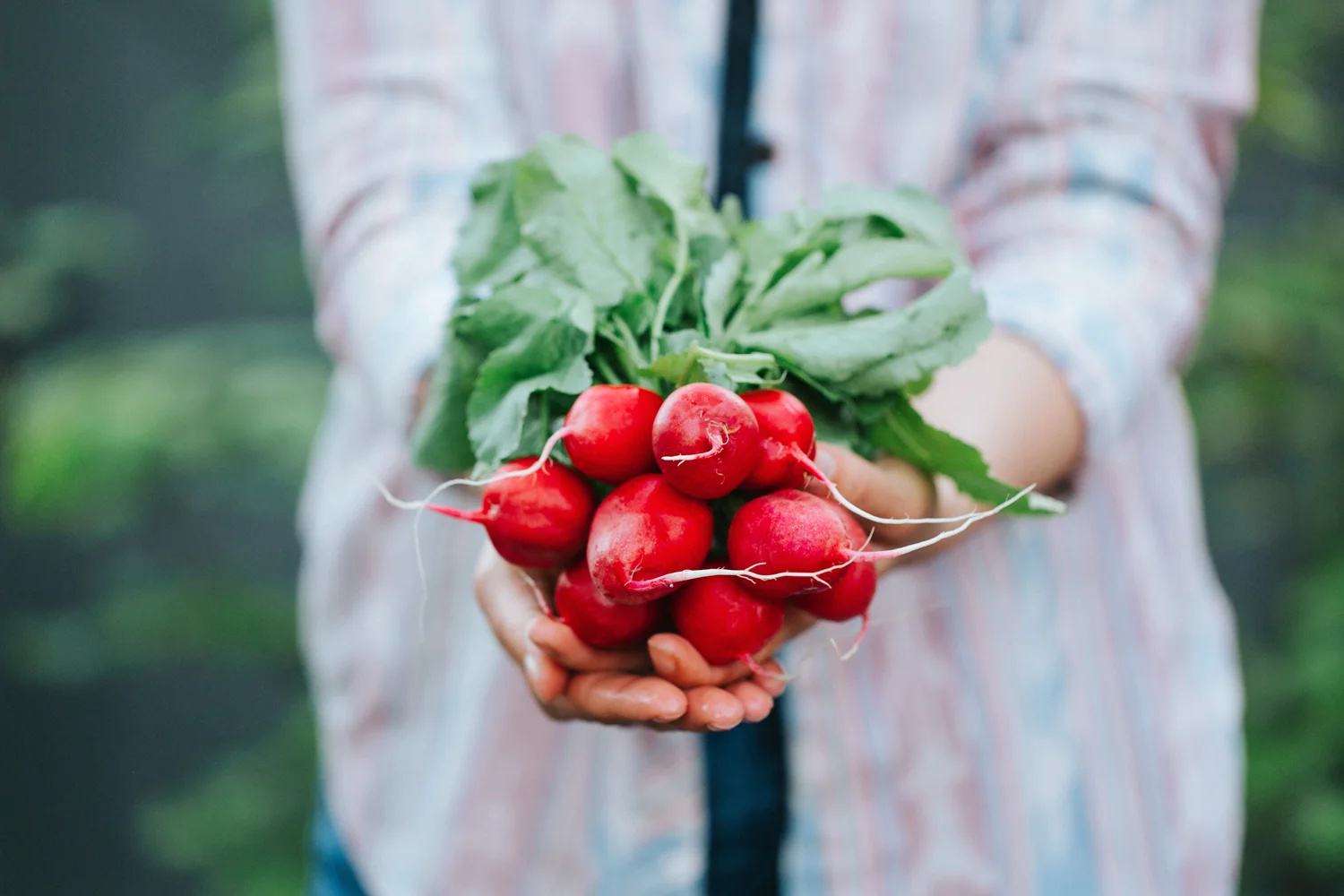 Gissel Garcia_0087_1.jpg