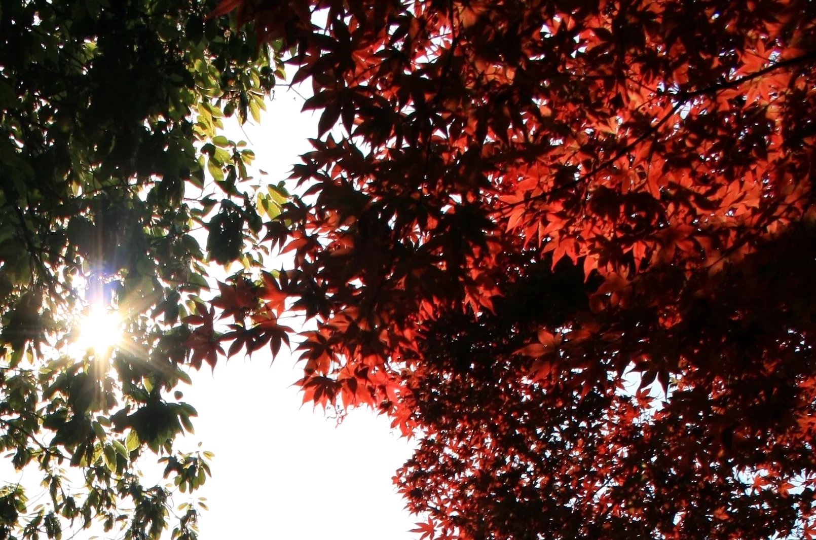 FALL APART AND REBUILD FROM THE HEART