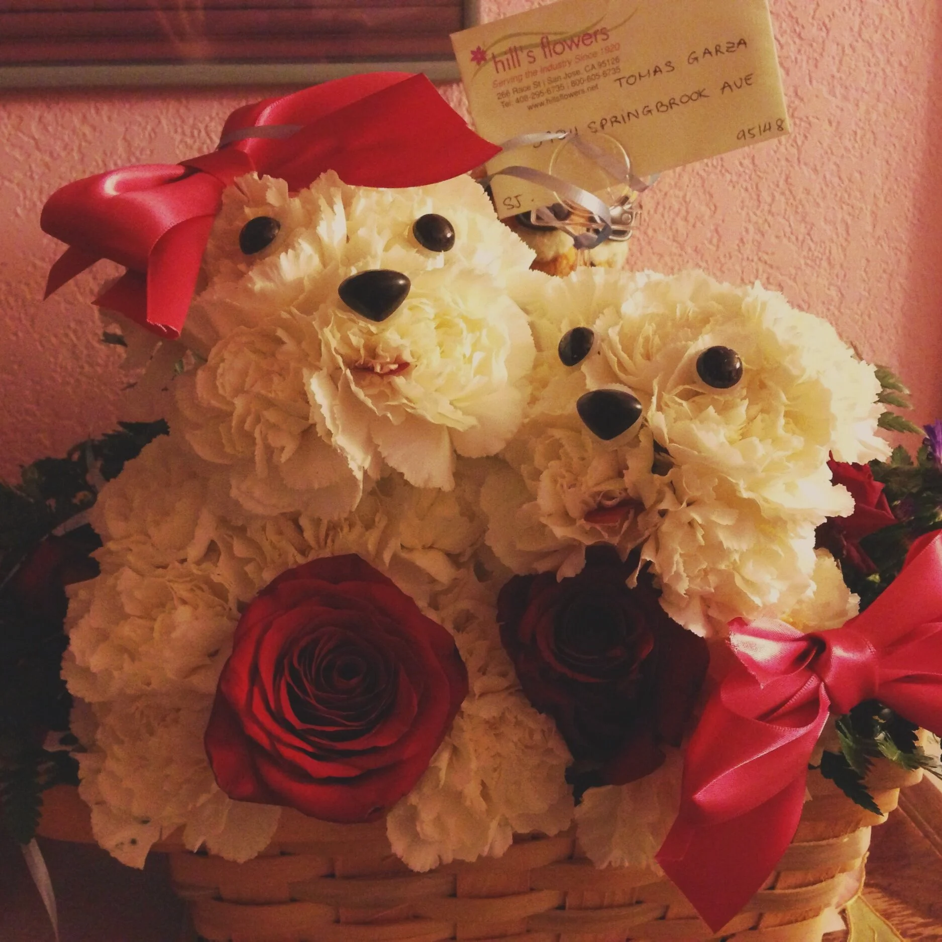 Las Flores de San Valentín