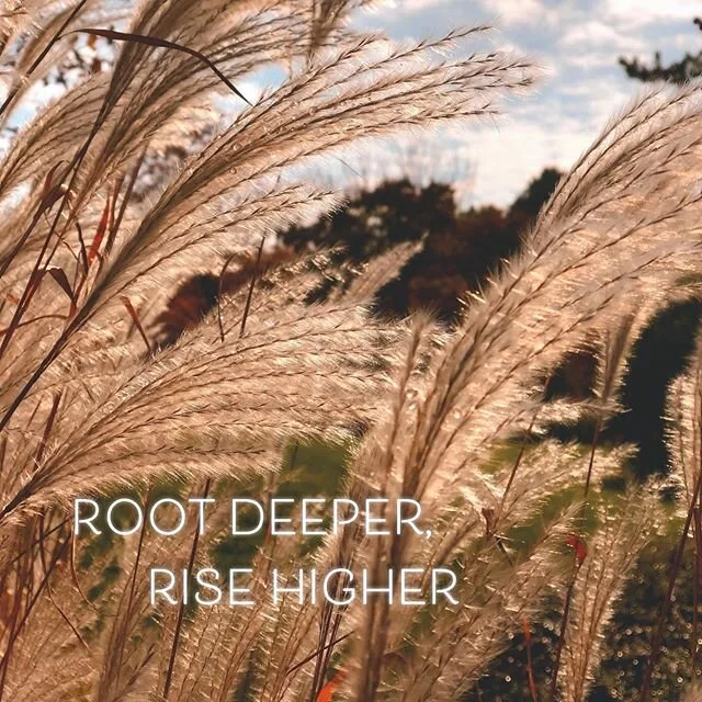 Cultivating a deeper relationship with nature also creates the space to discover who we really are and what we truly need to nourish, heal, and thrive...and, most importantly, spread the love far and wide! 🌱💗✨