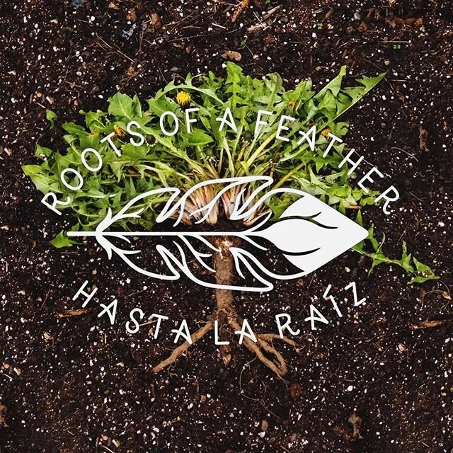 ✨🌱💗🌱✨