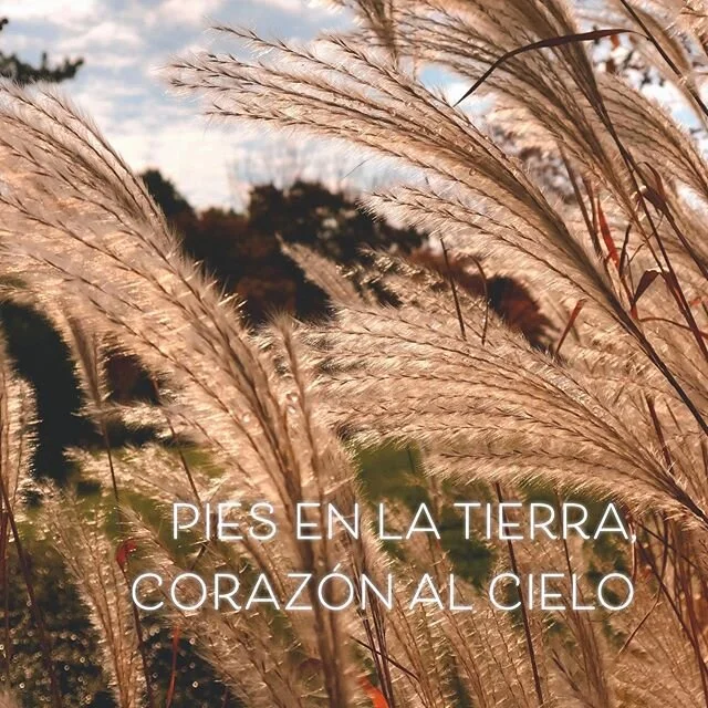 HASTA LA RA&Iacute;Z es una expresi&oacute;n de las formas en que podemos vivir con los pies en la tierra y el coraz&oacute;n al cielo.
&bull;
Cuando cultivamos una relaci&oacute;n mas profunda con la naturaleza tambi&eacute;n creamos el espacio para