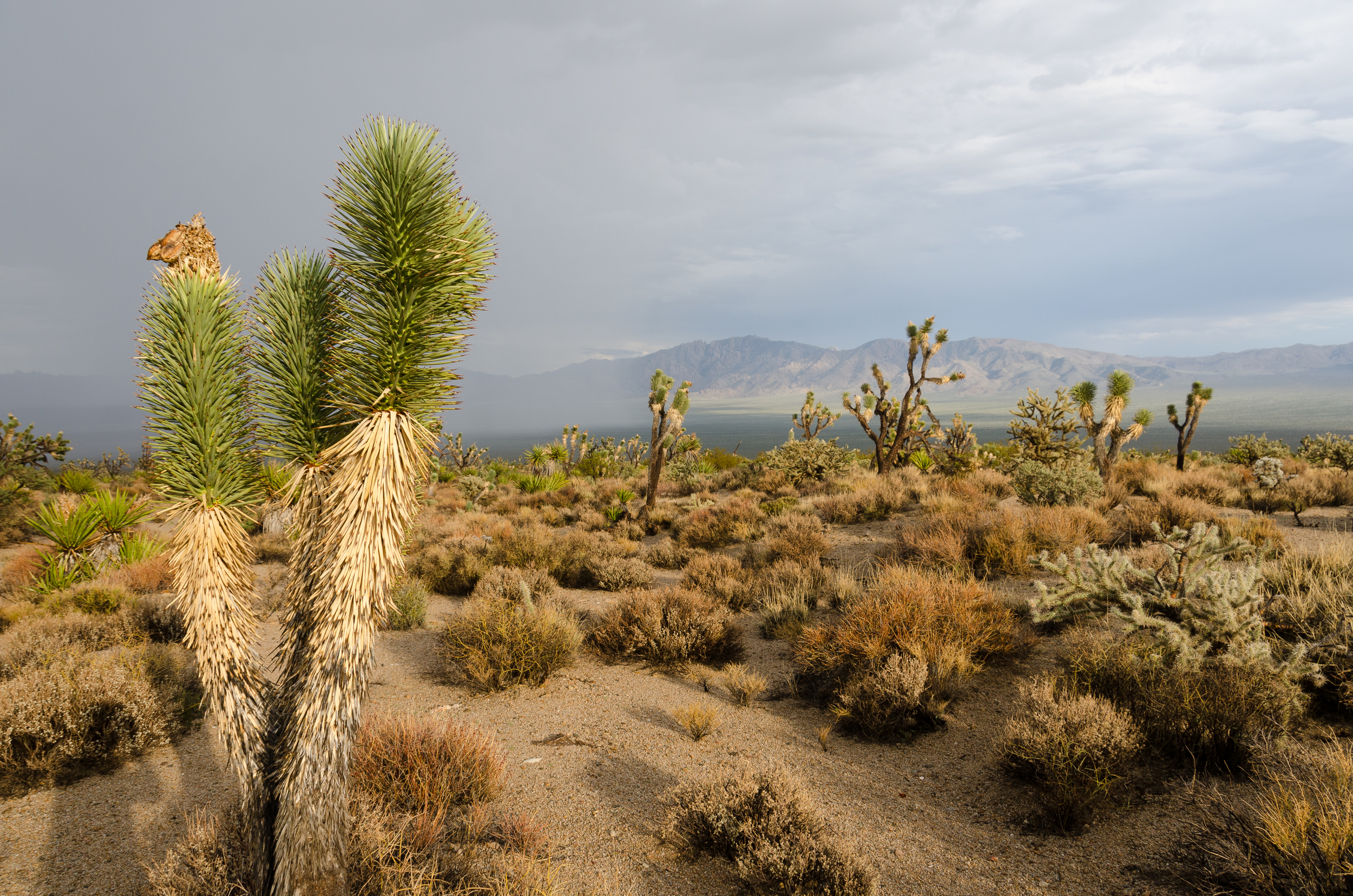 untitled (215 of 468).jpg