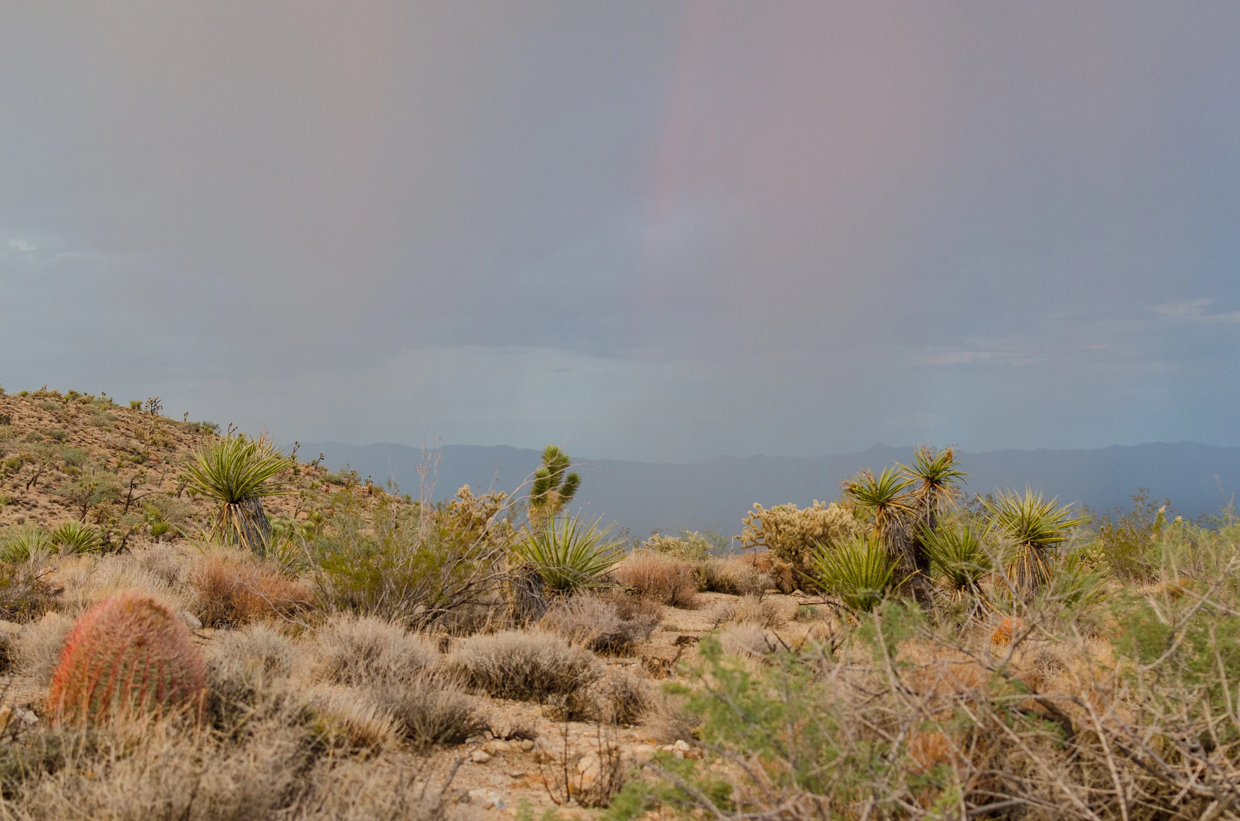 untitled (295 of 468).jpg