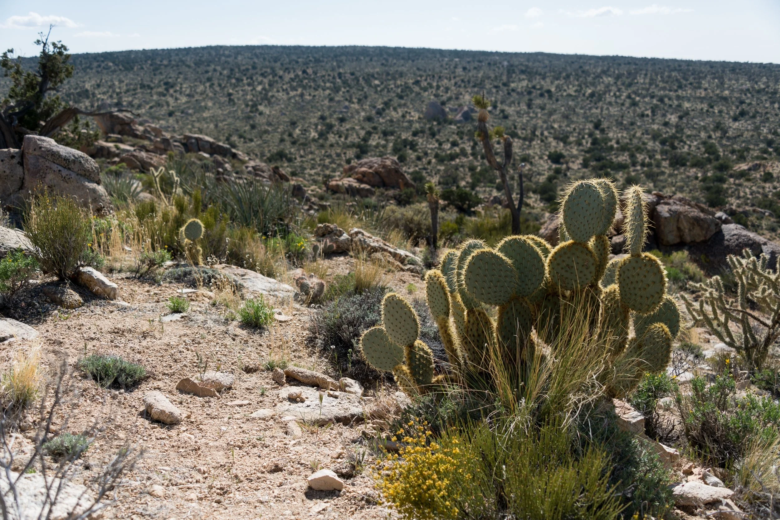 Featured Hike: Teutonia Peak Trail