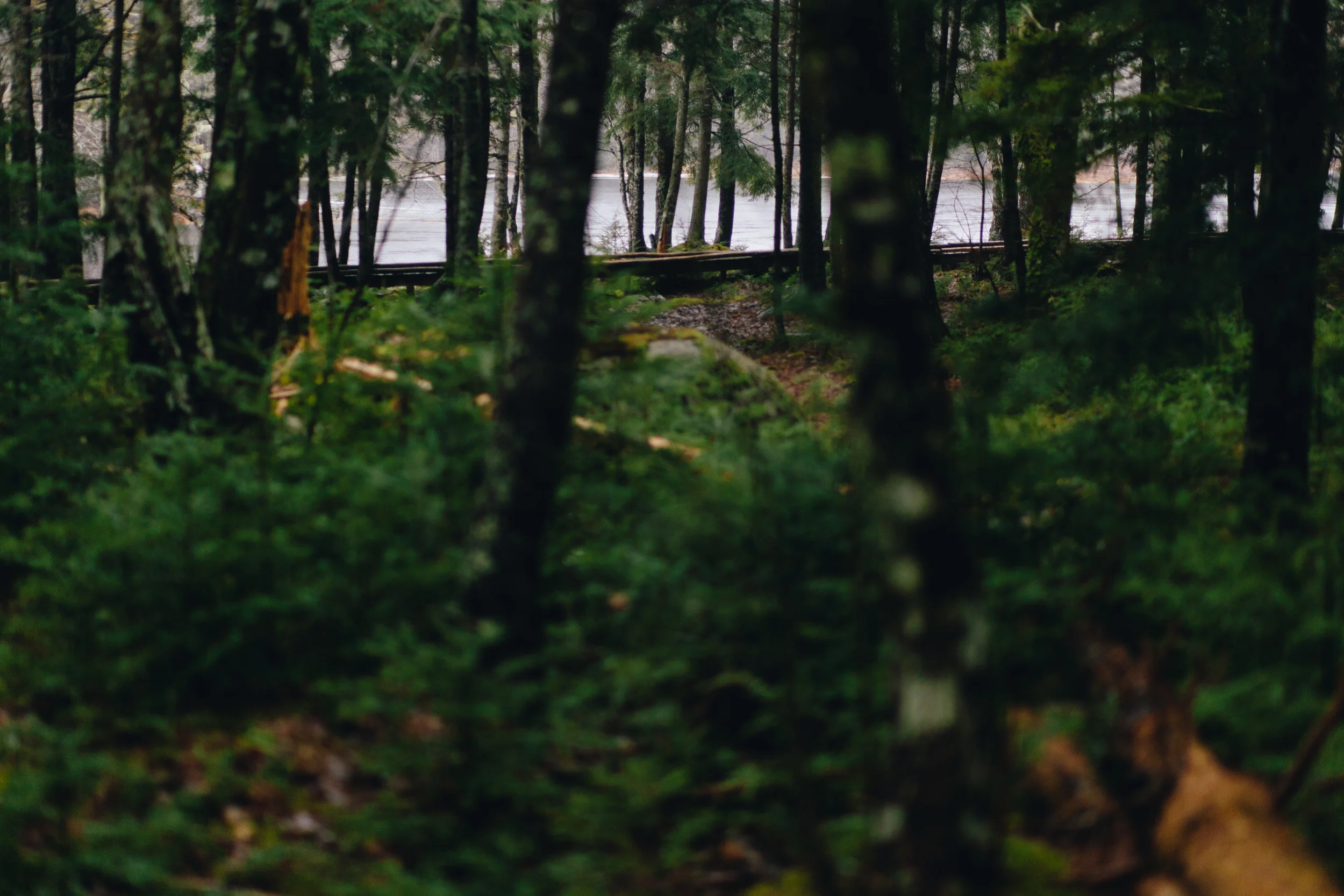 FebruaryRetreat-8.jpg