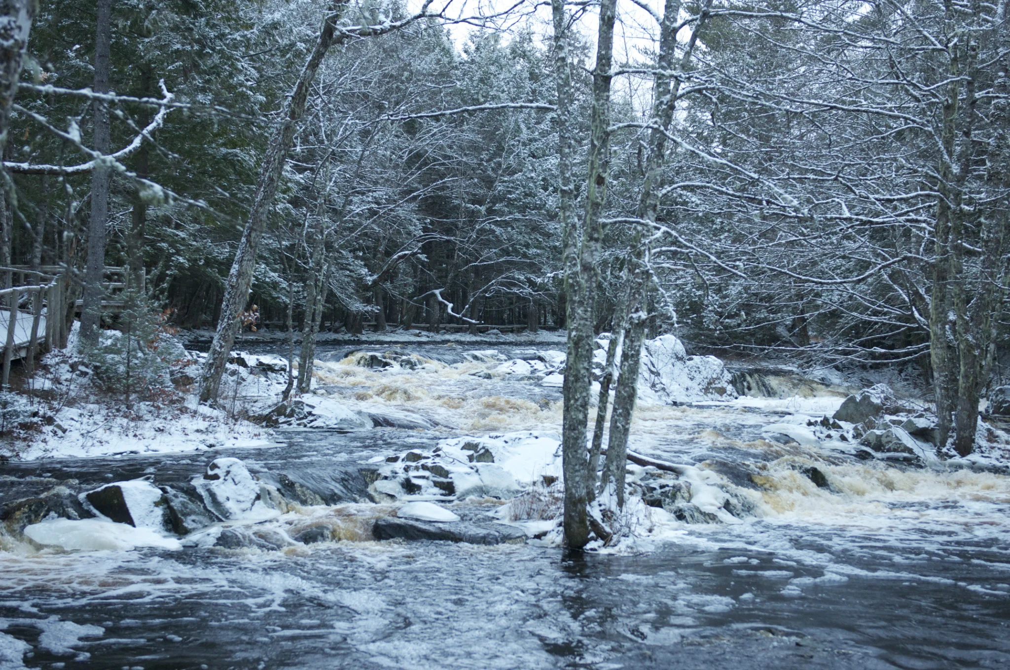 dsc_92392.jpg