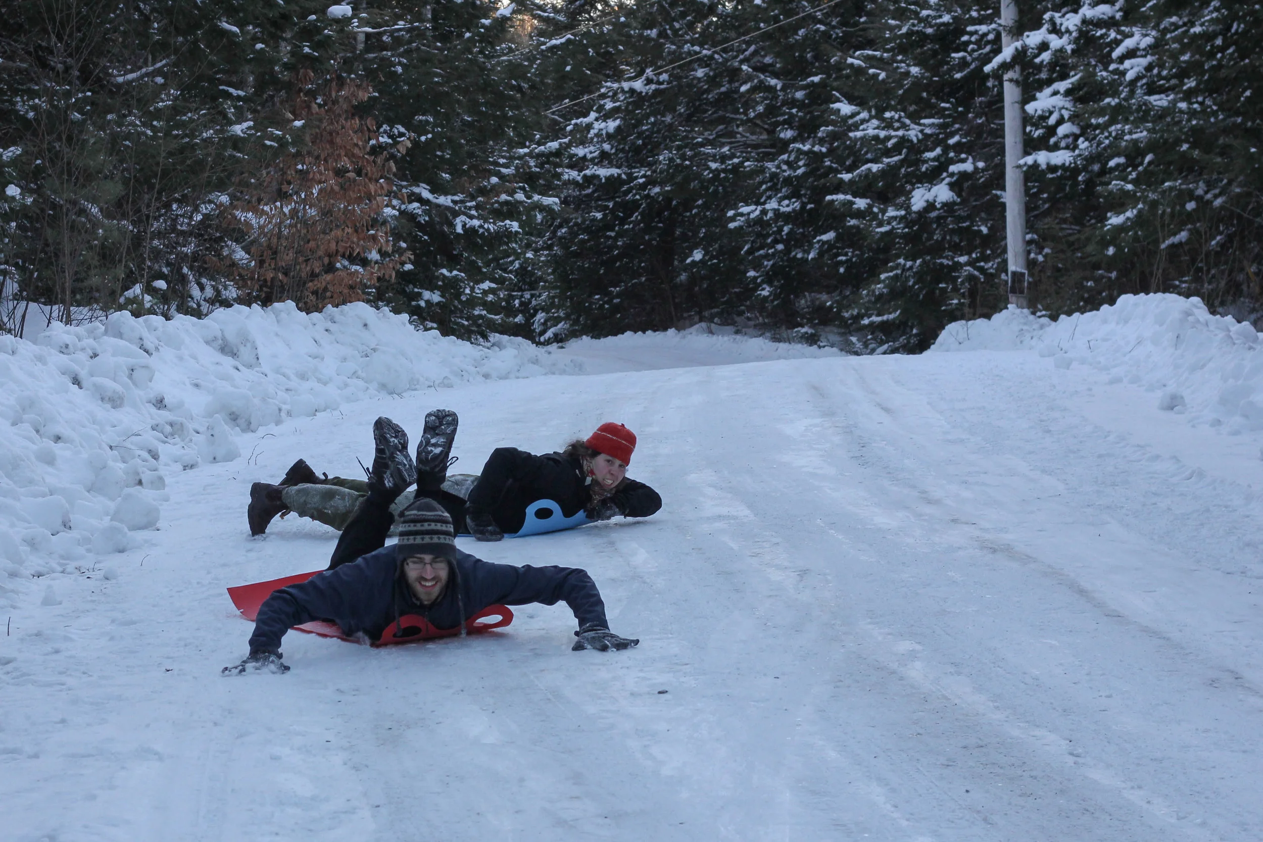 sledding.jpg