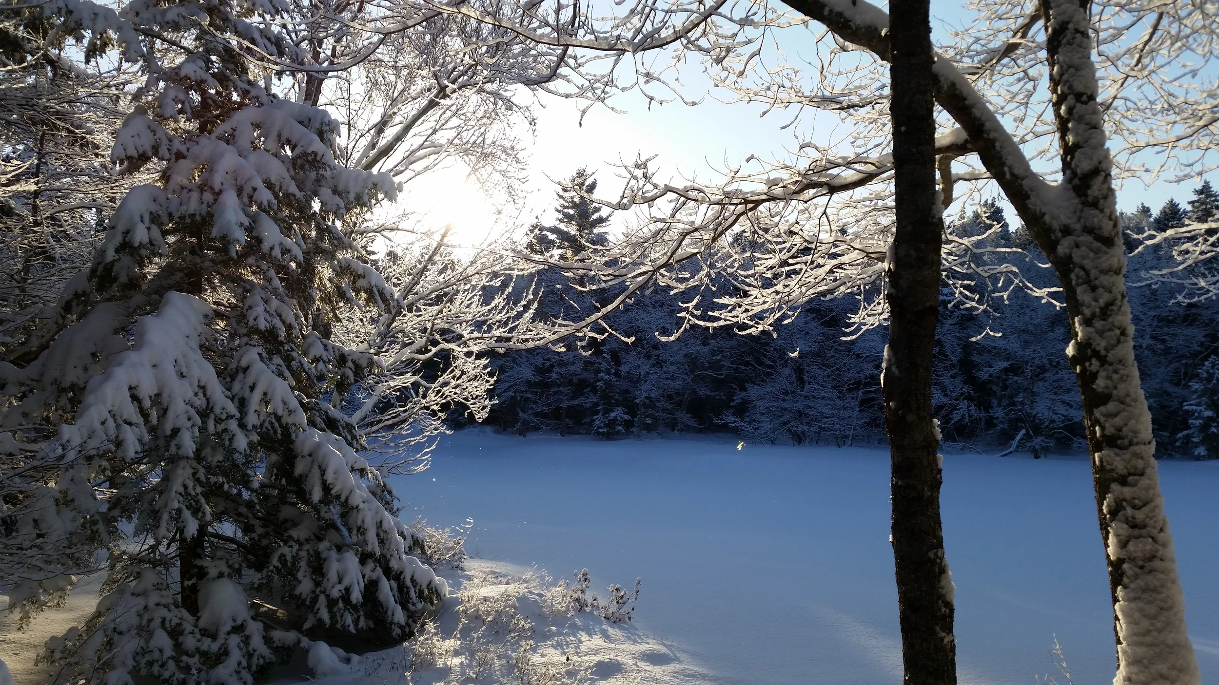 20150207_084615.jpg