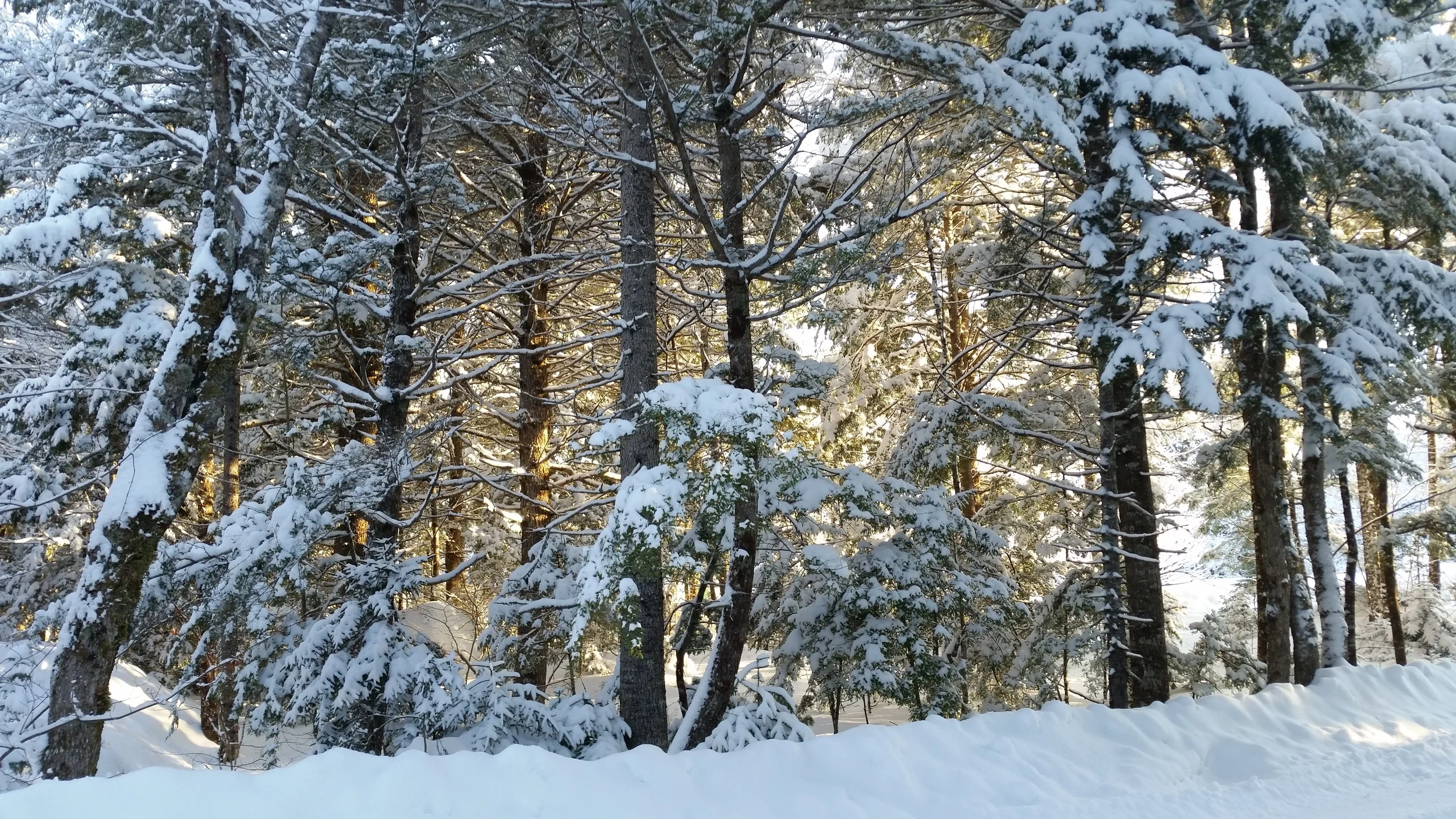 20150207_084814.jpg