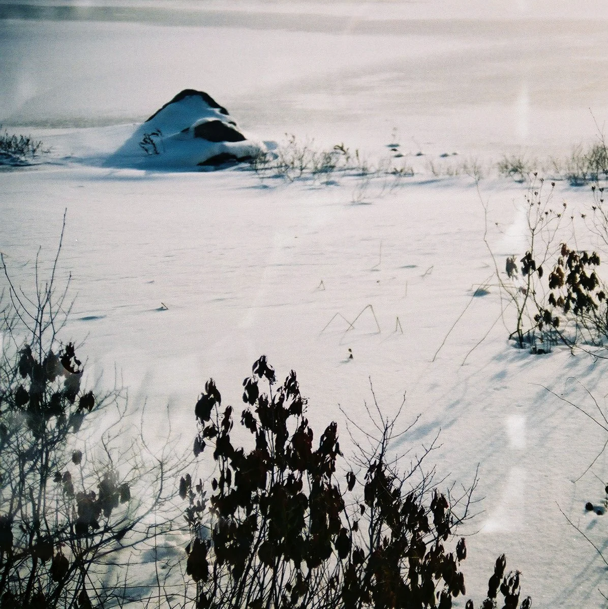 lake-rock-square_33606726796_o.jpg