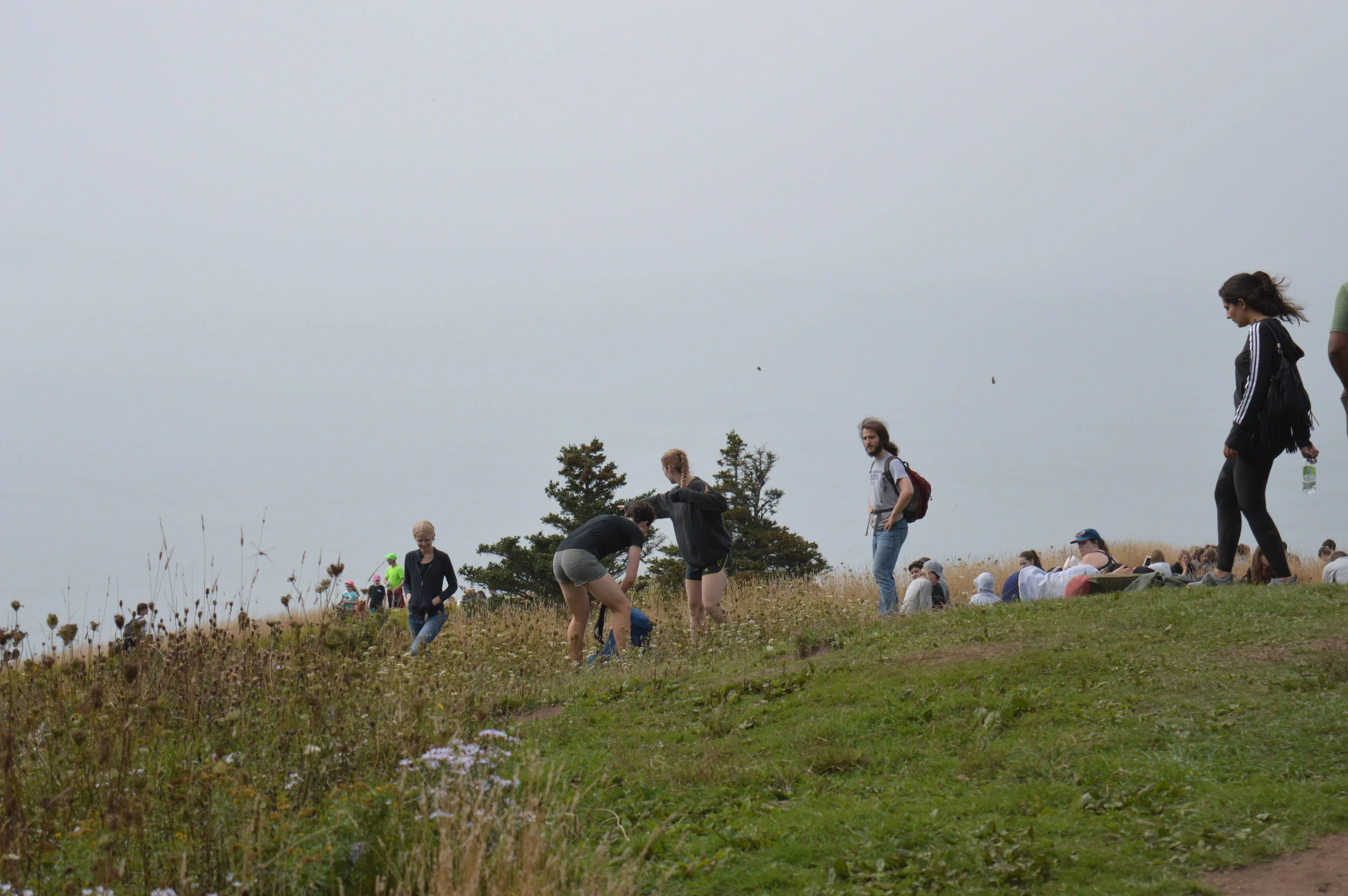 DSC_1105.jpg
