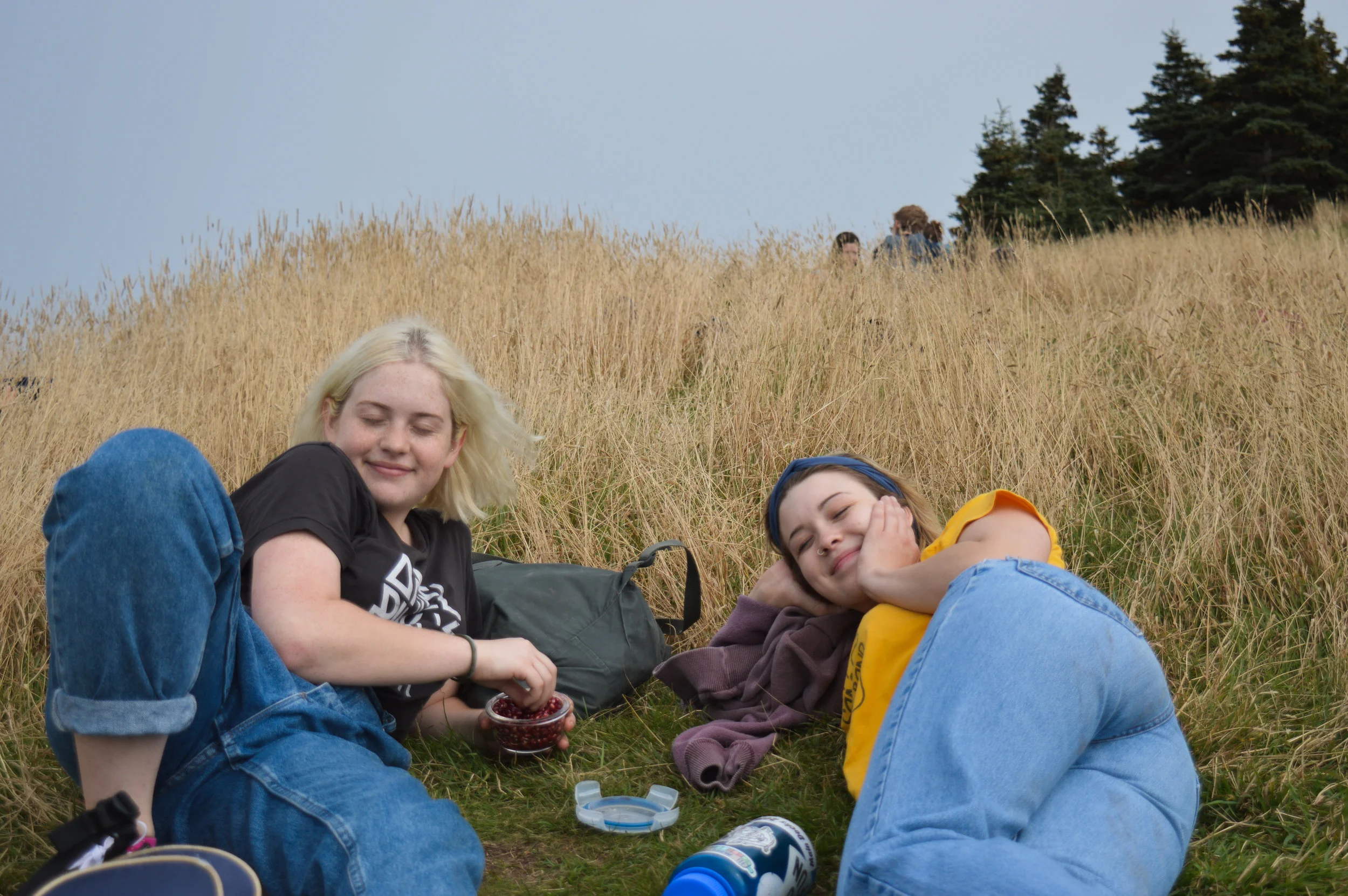 DSC_1133.jpg