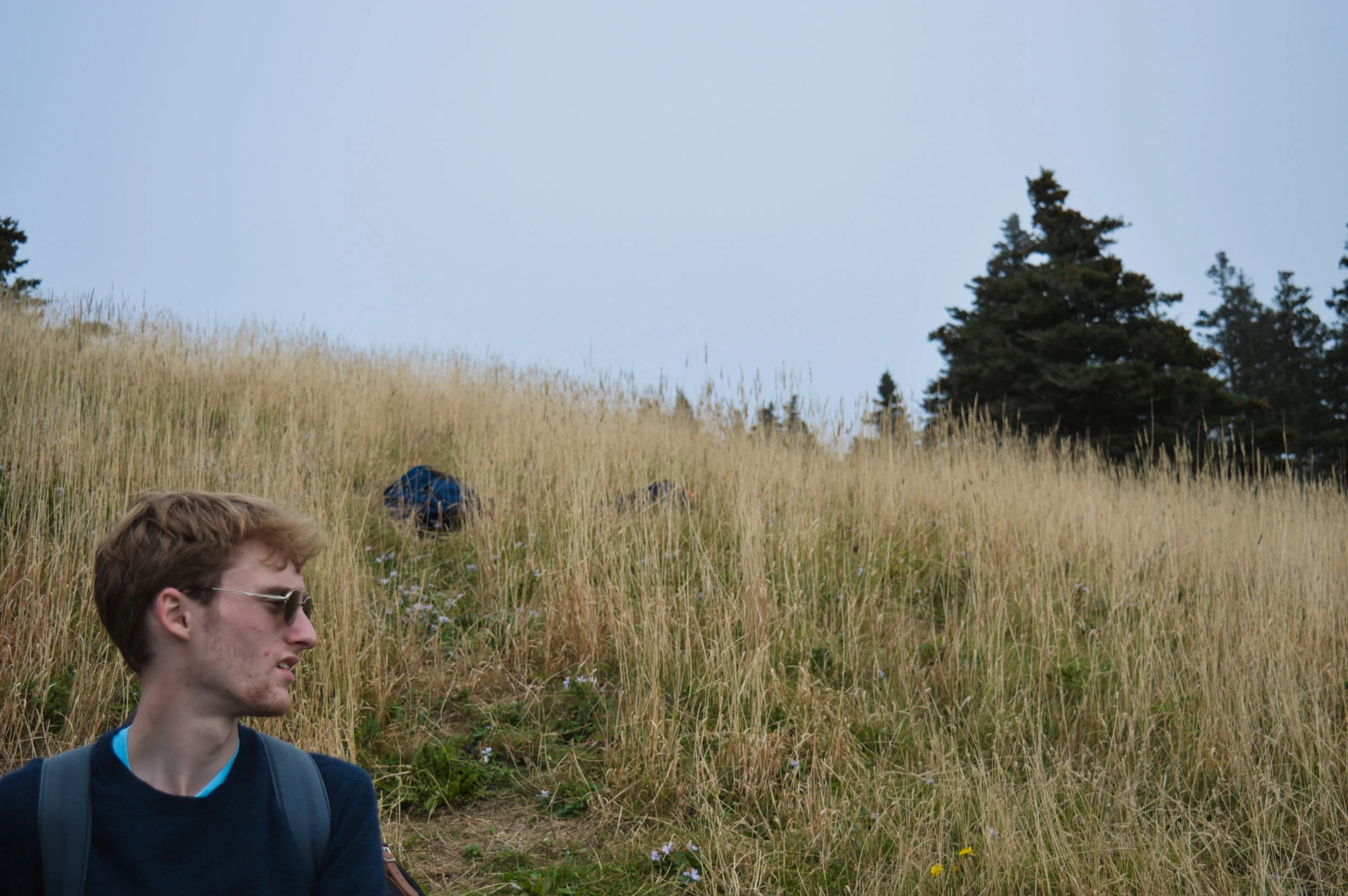 DSC_1197.jpg