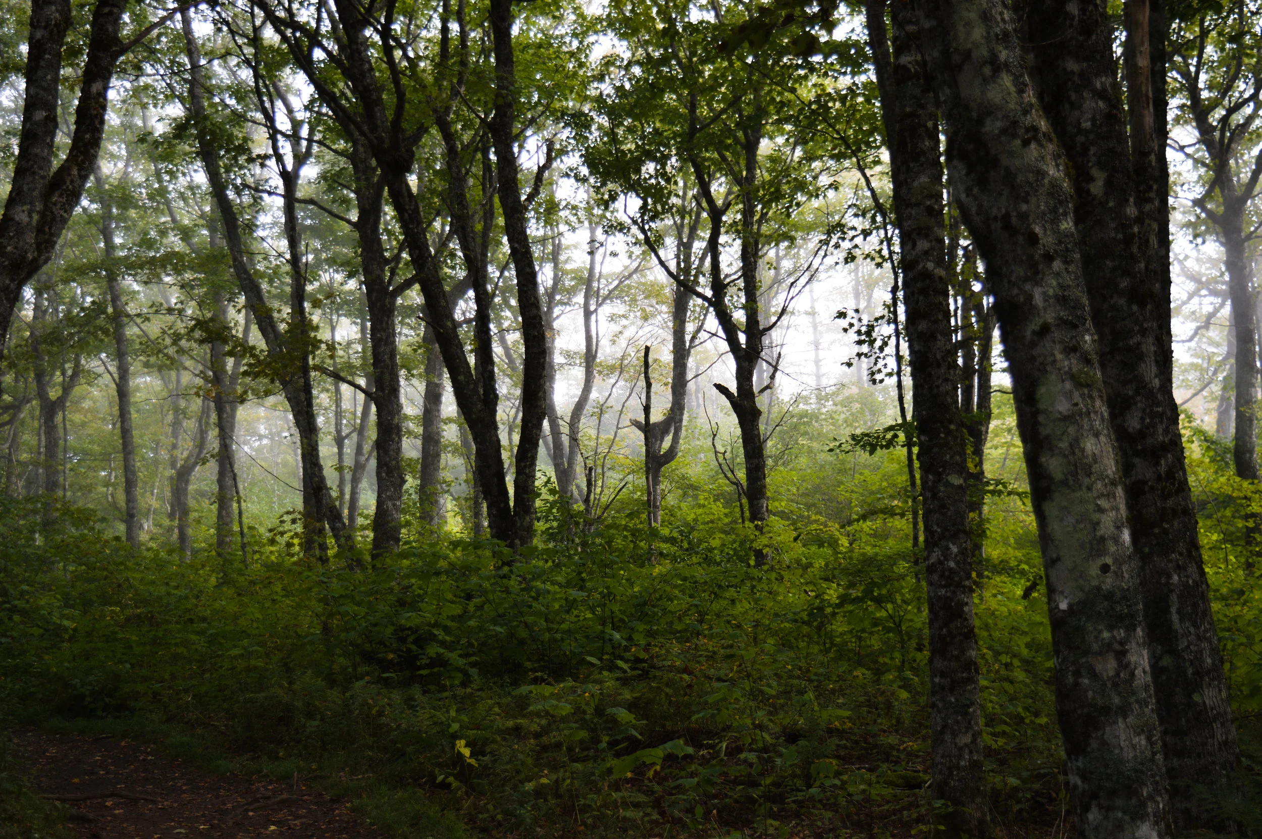DSC_1349.jpg