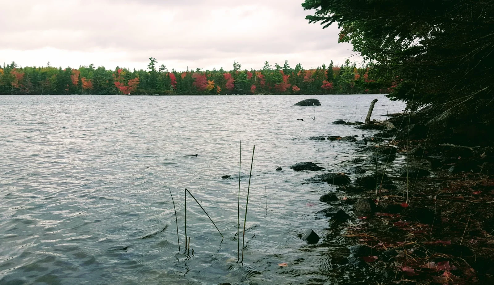 20171008_112020.jpg