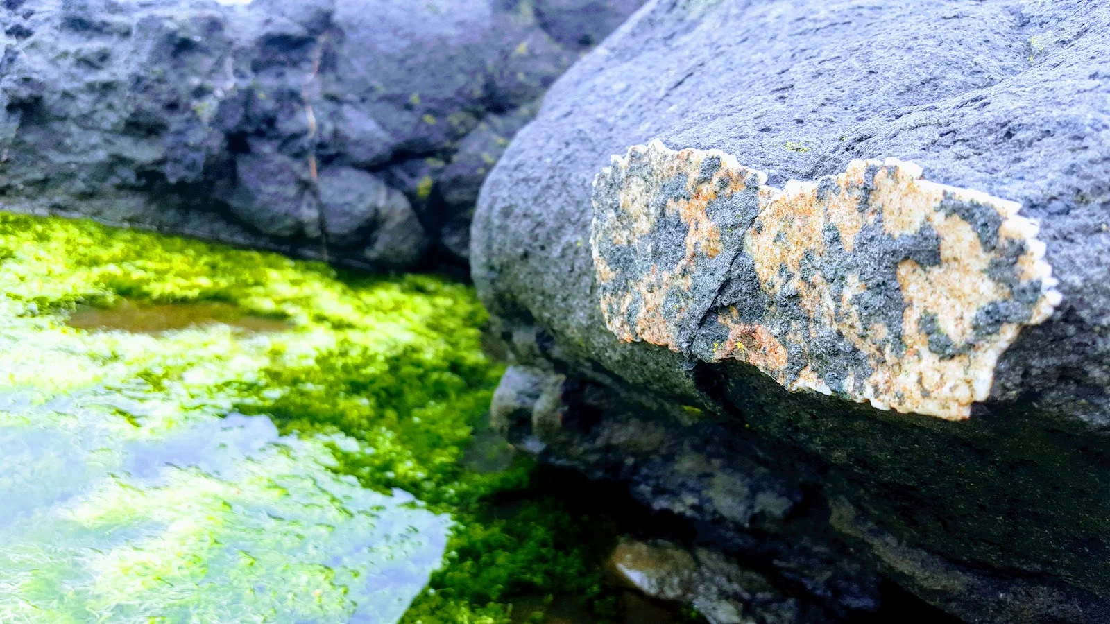 20171008_154859.jpg