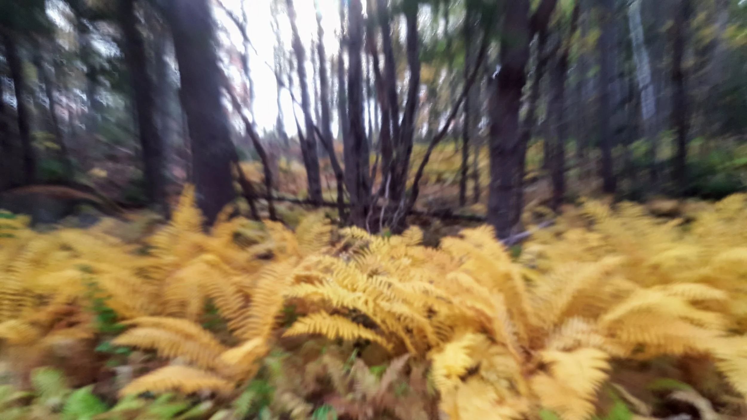 20171009_083641.jpg