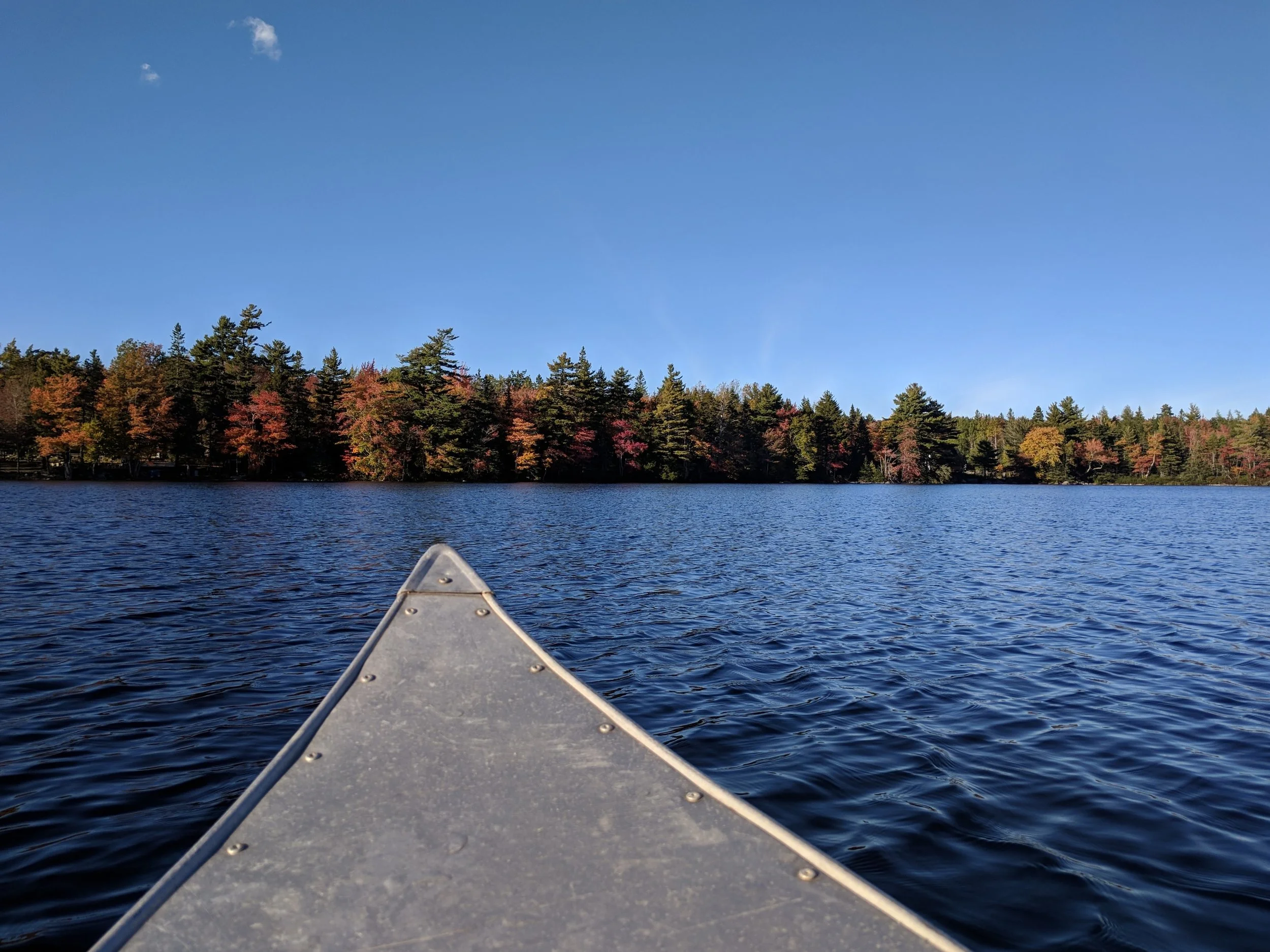 IMG_20181006_170508.jpg