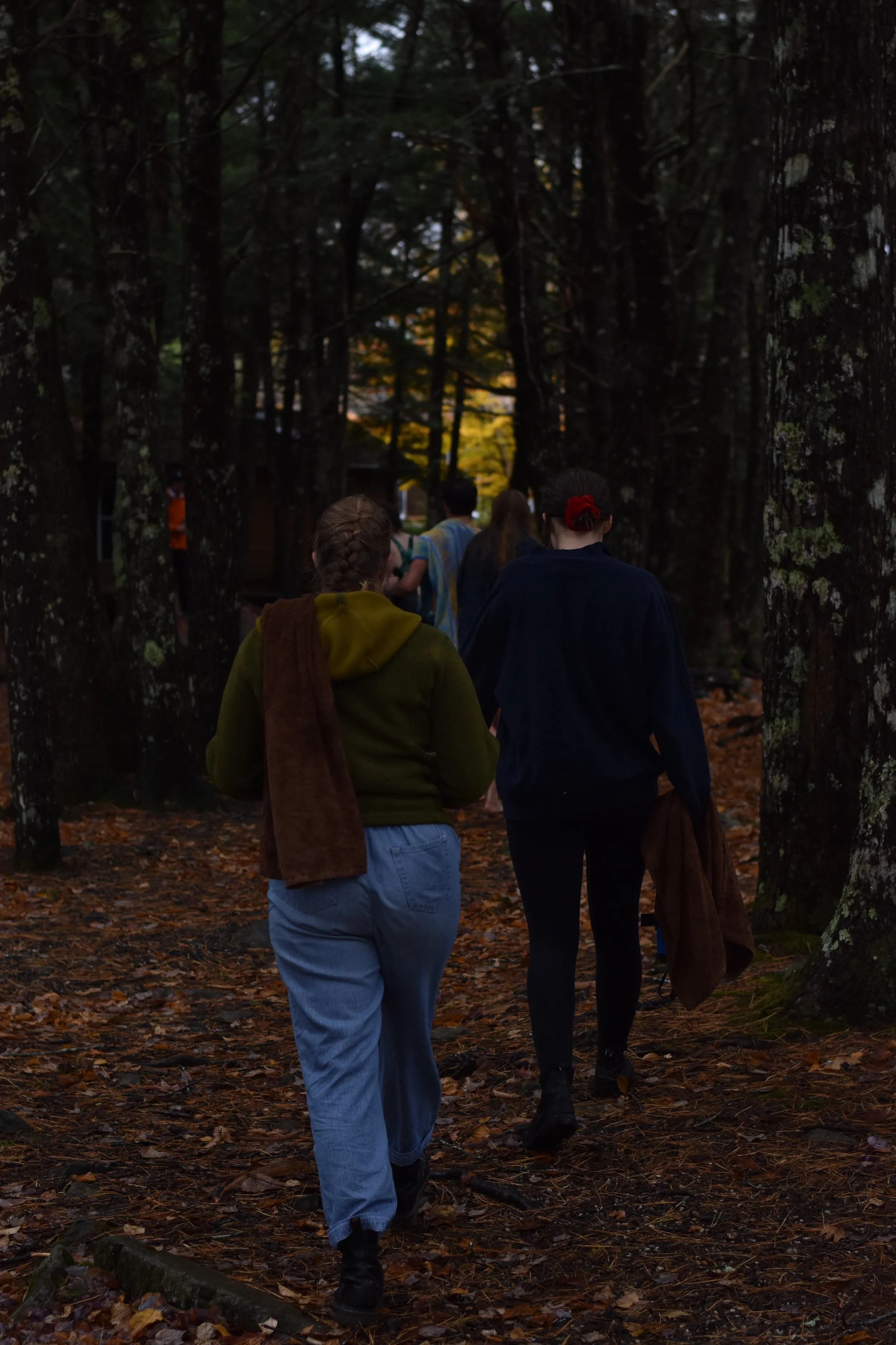 DSC_0240.jpg