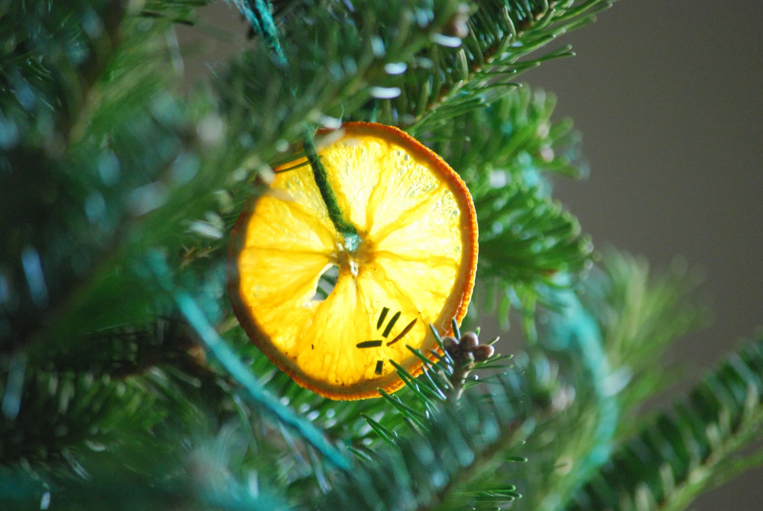 driedorange-1.JPG