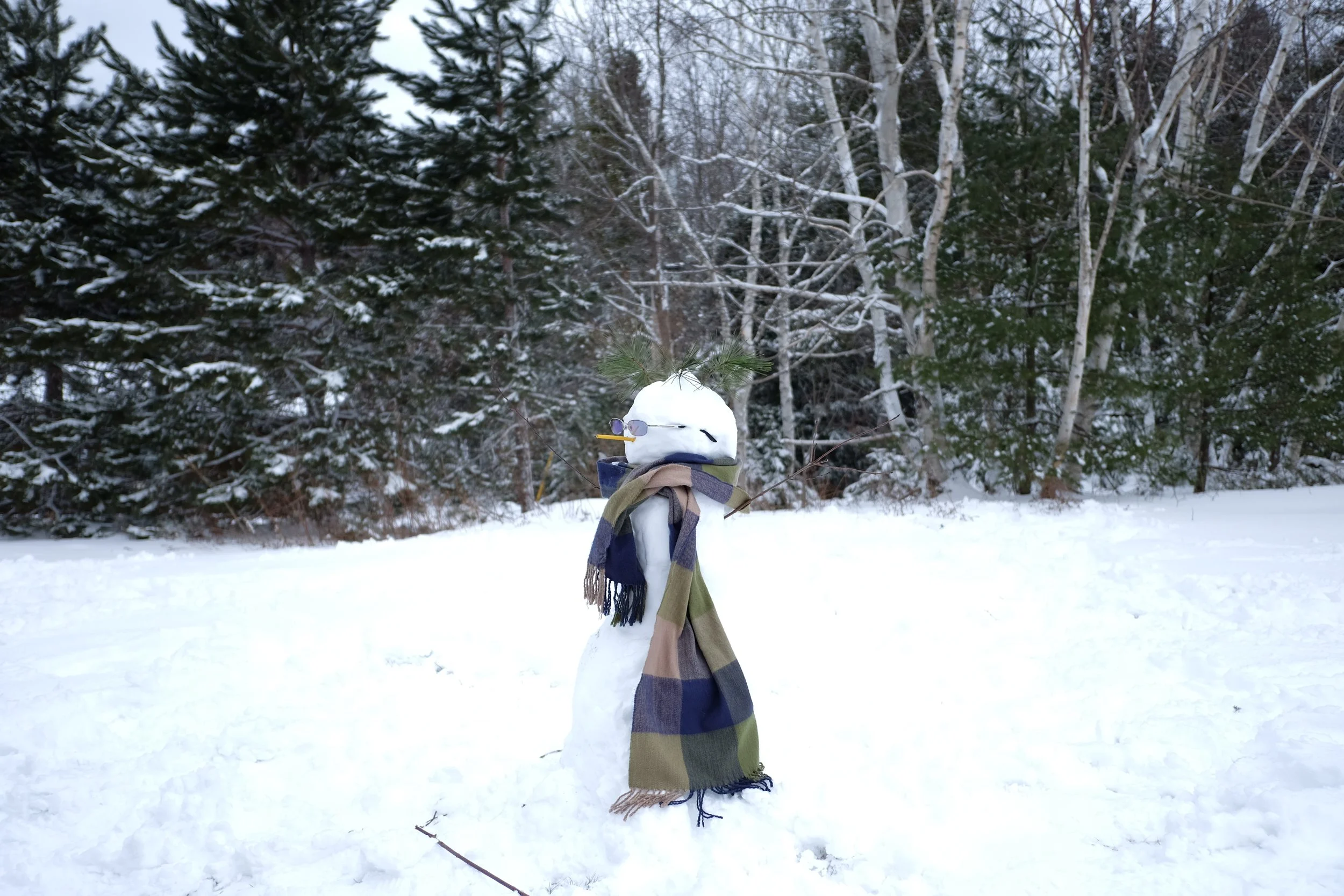DSCF1741.JPG