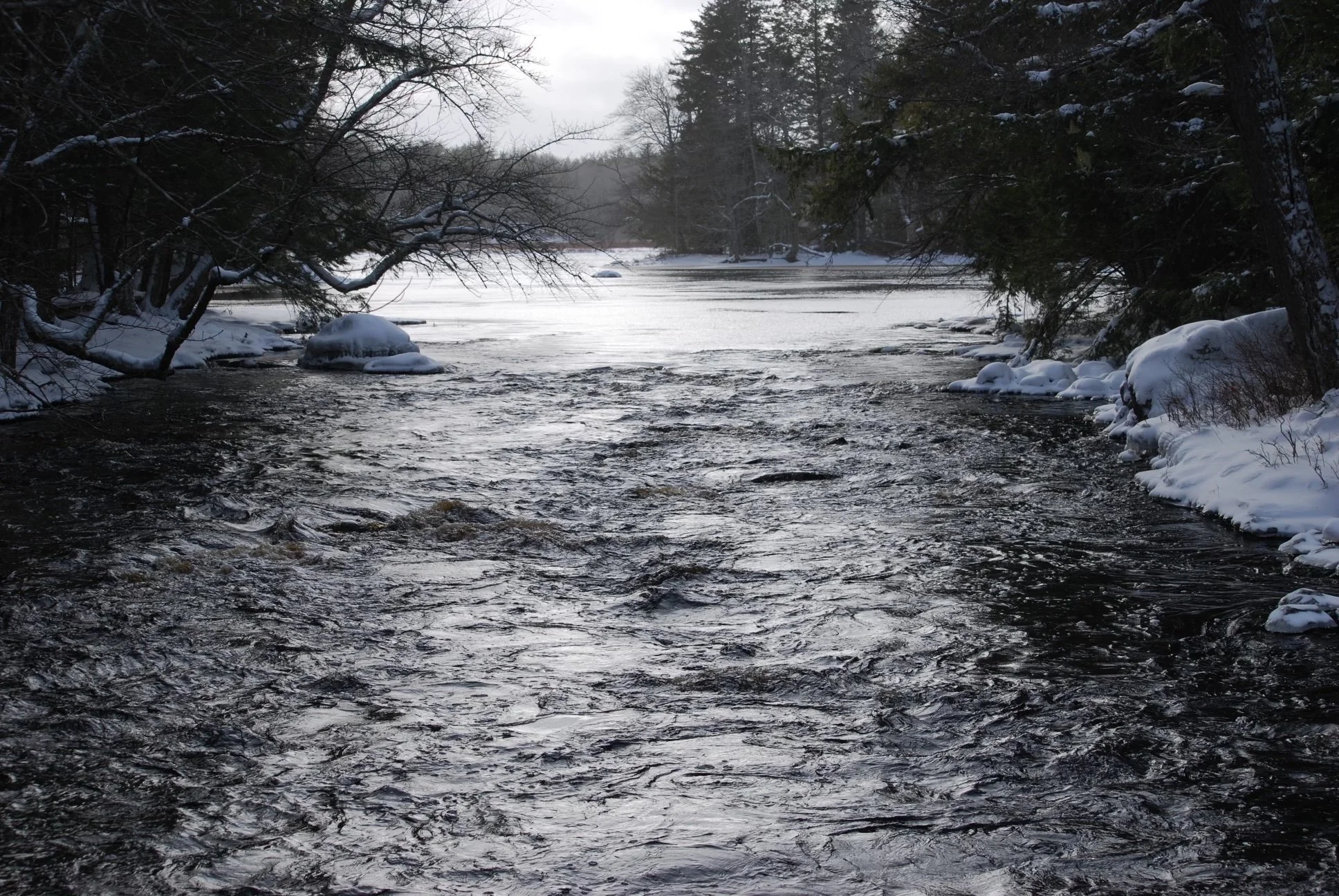 dsc_0654.jpg