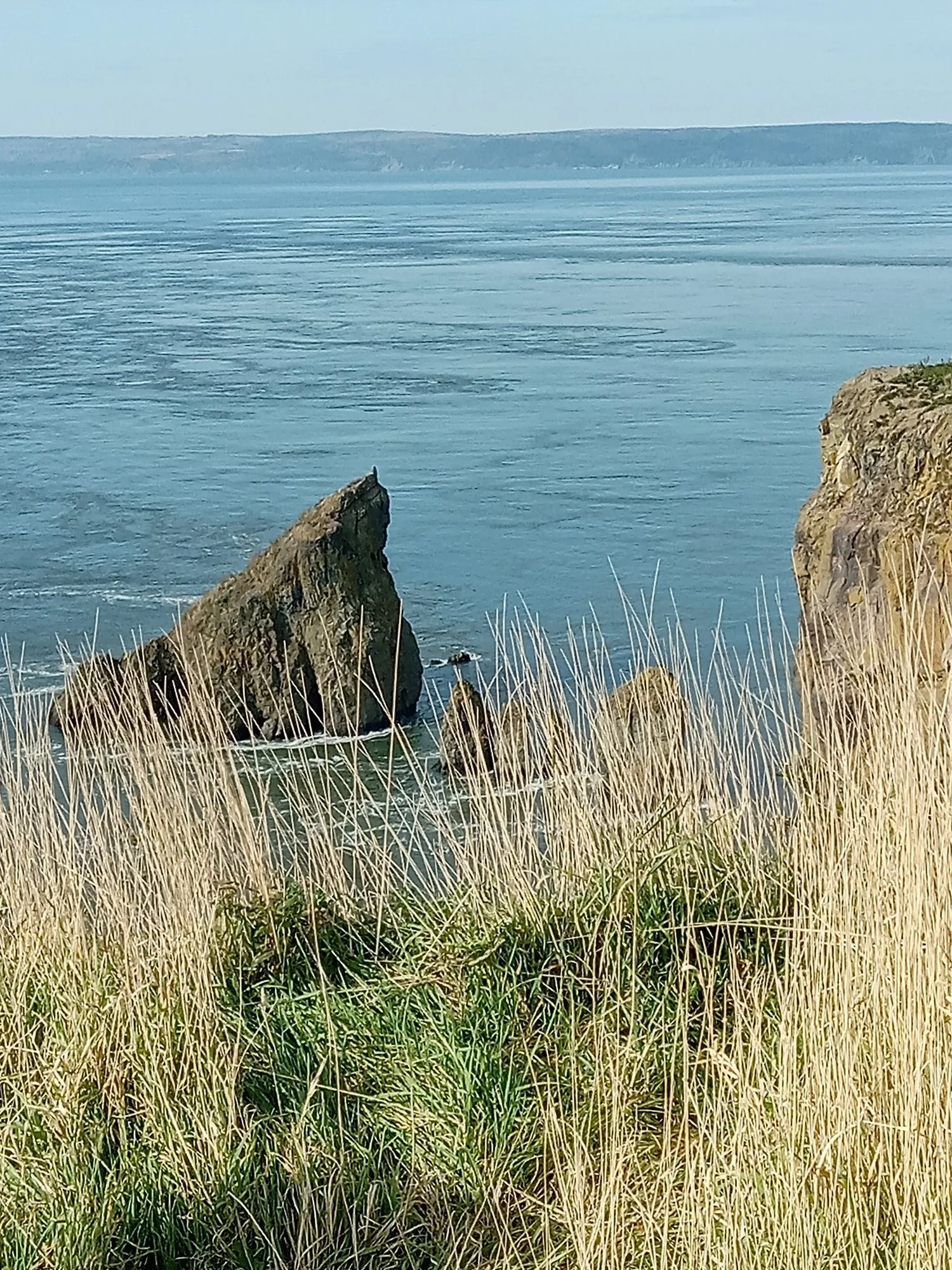 20231028_133104.jpg