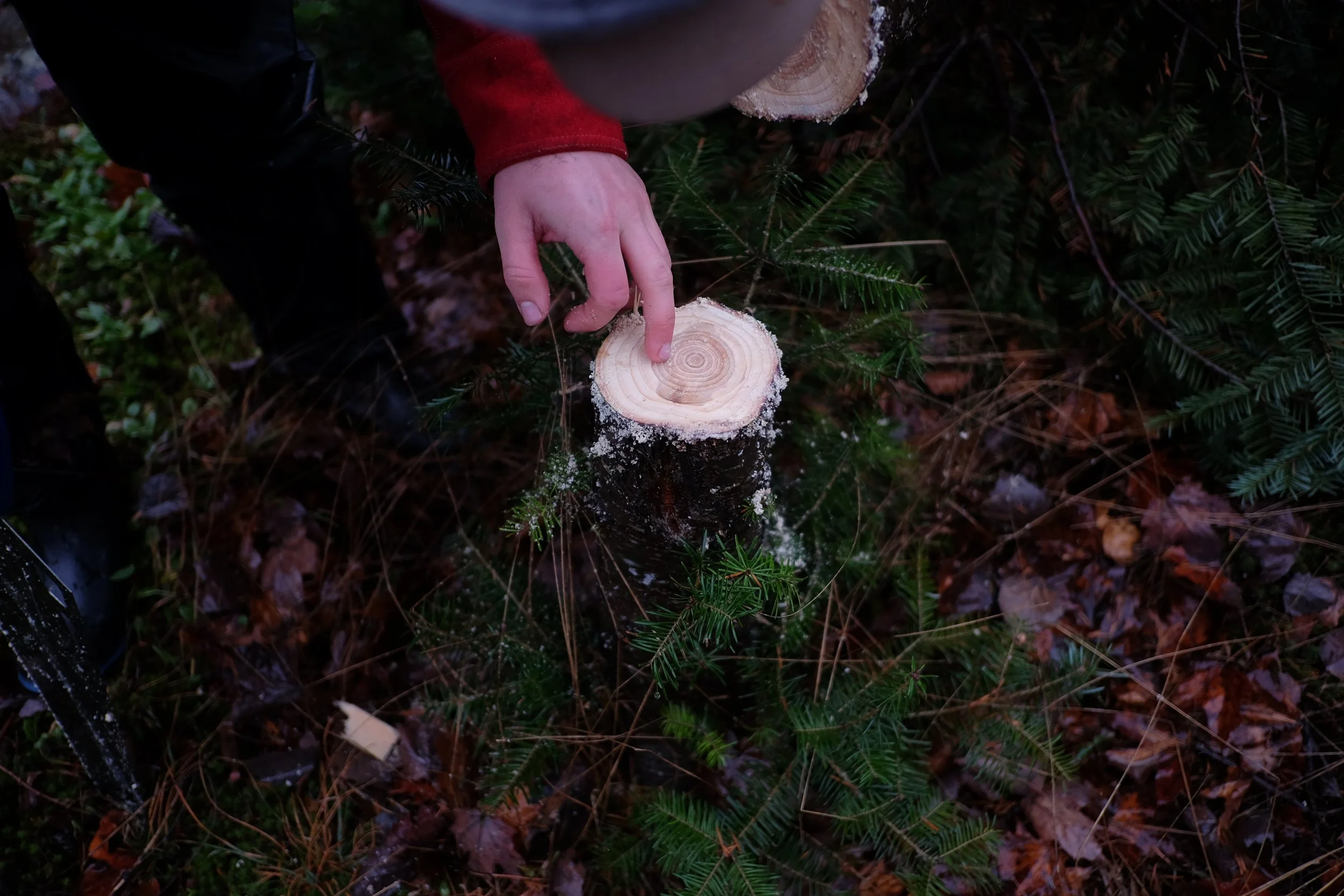 DSCF5942.JPG