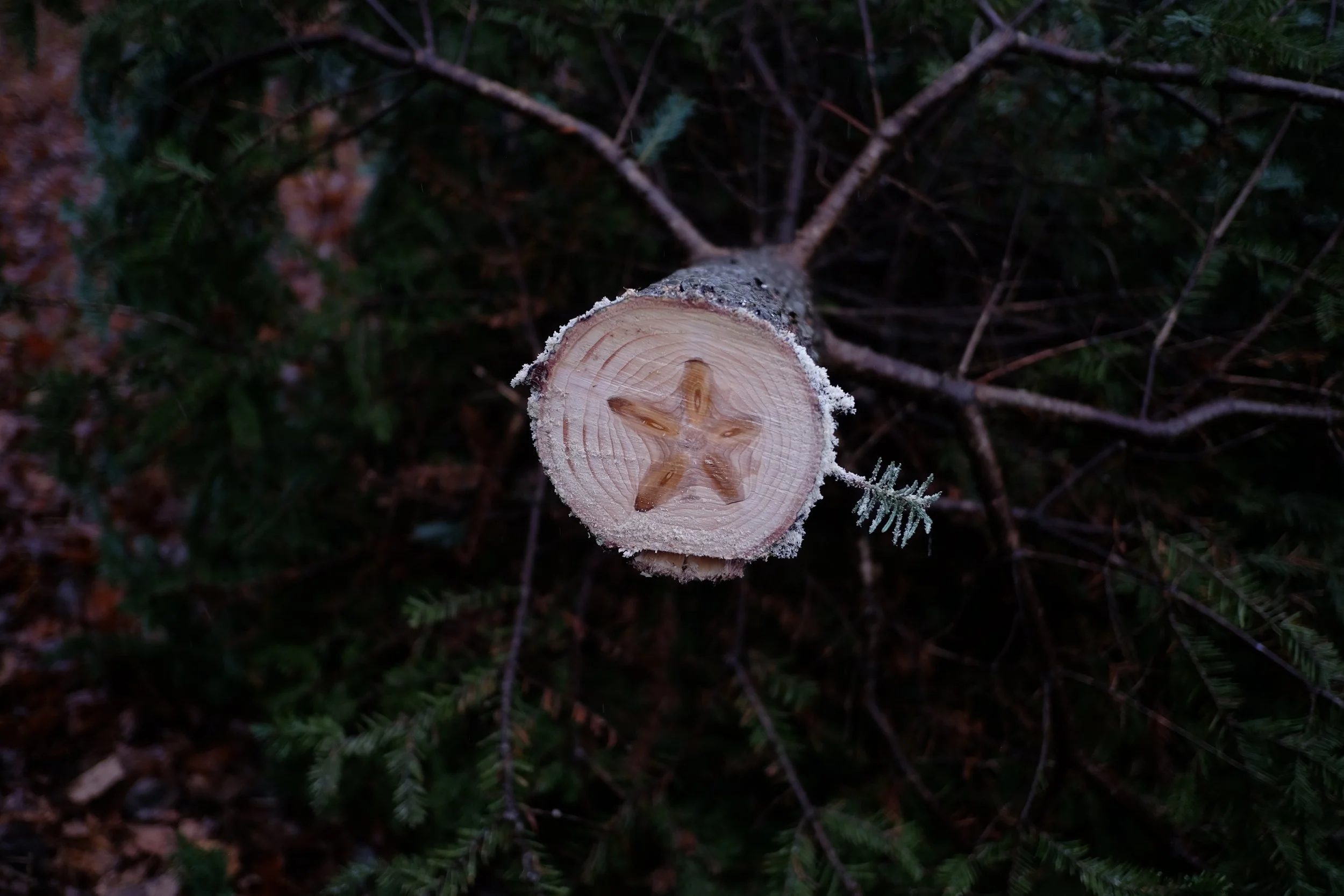 DSCF5963.JPG