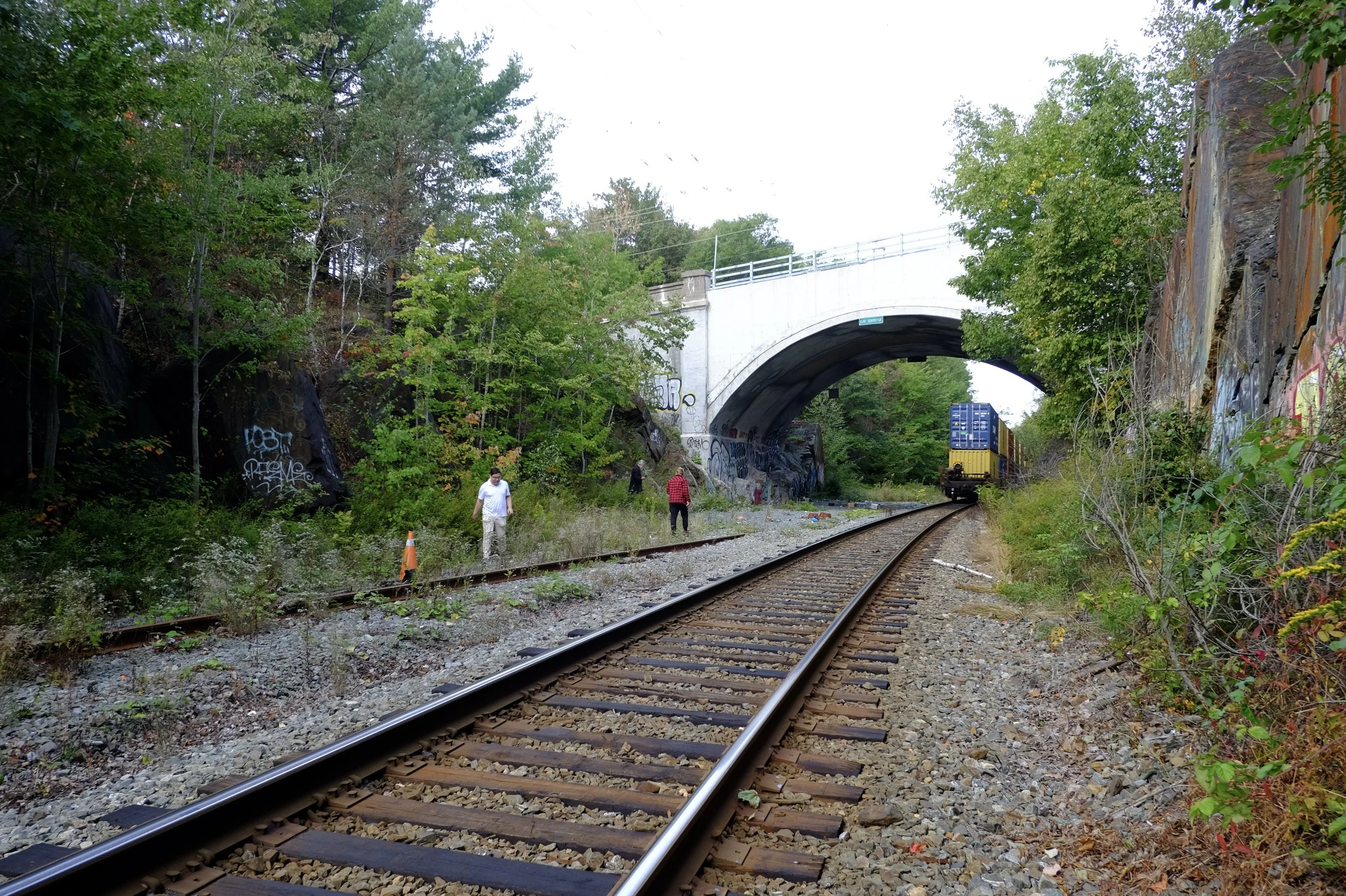DSCF9003.JPG