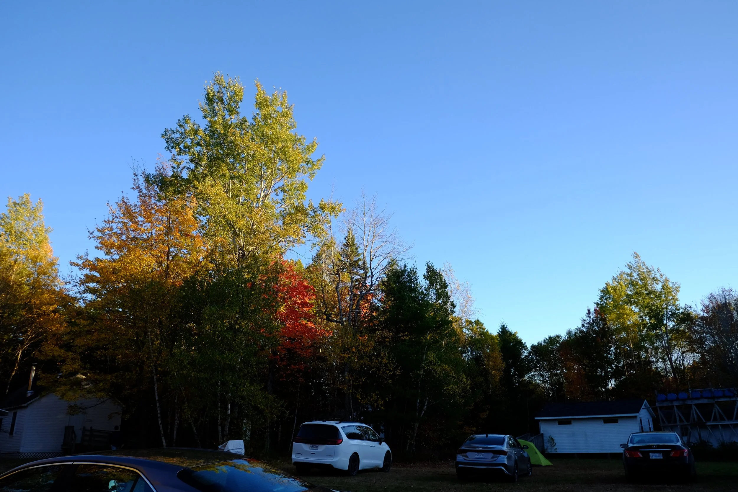 DSCF9148.JPG