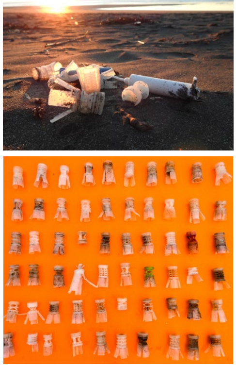 Some of the plastic wads found by Oakura School and Highlands Intermediate.