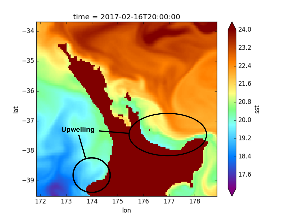 The westerly winds result in upwelling along north-facing coastlines.