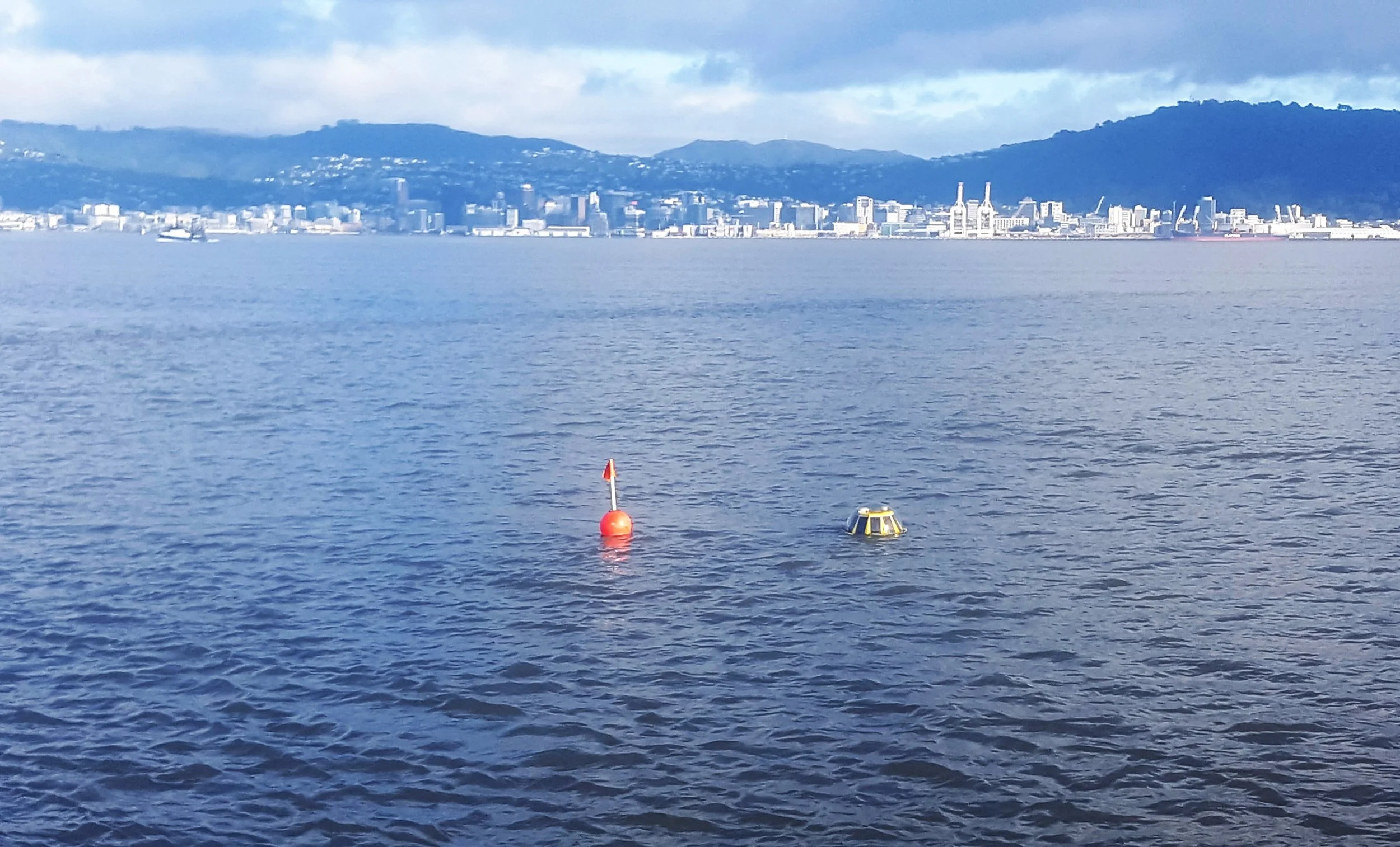 The wave buoy, framed by Wellington City