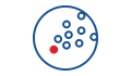 numerical model