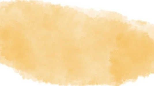 The Everything Bundle