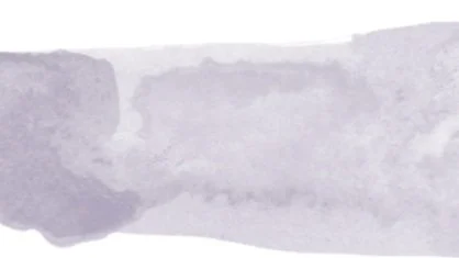 Family Pack (Printable Worksheets)