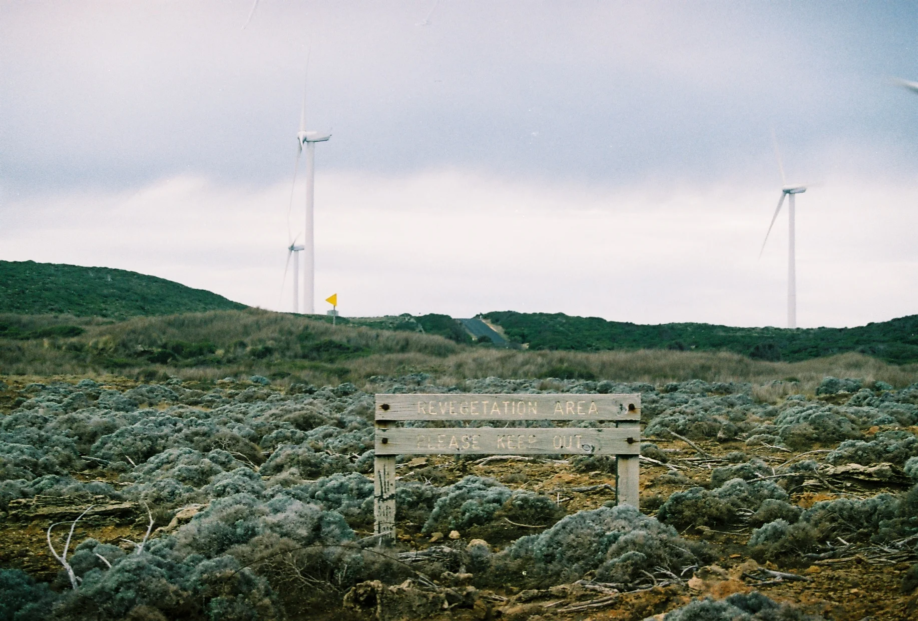 Cape Bridgewater, VIC. 35mm. 