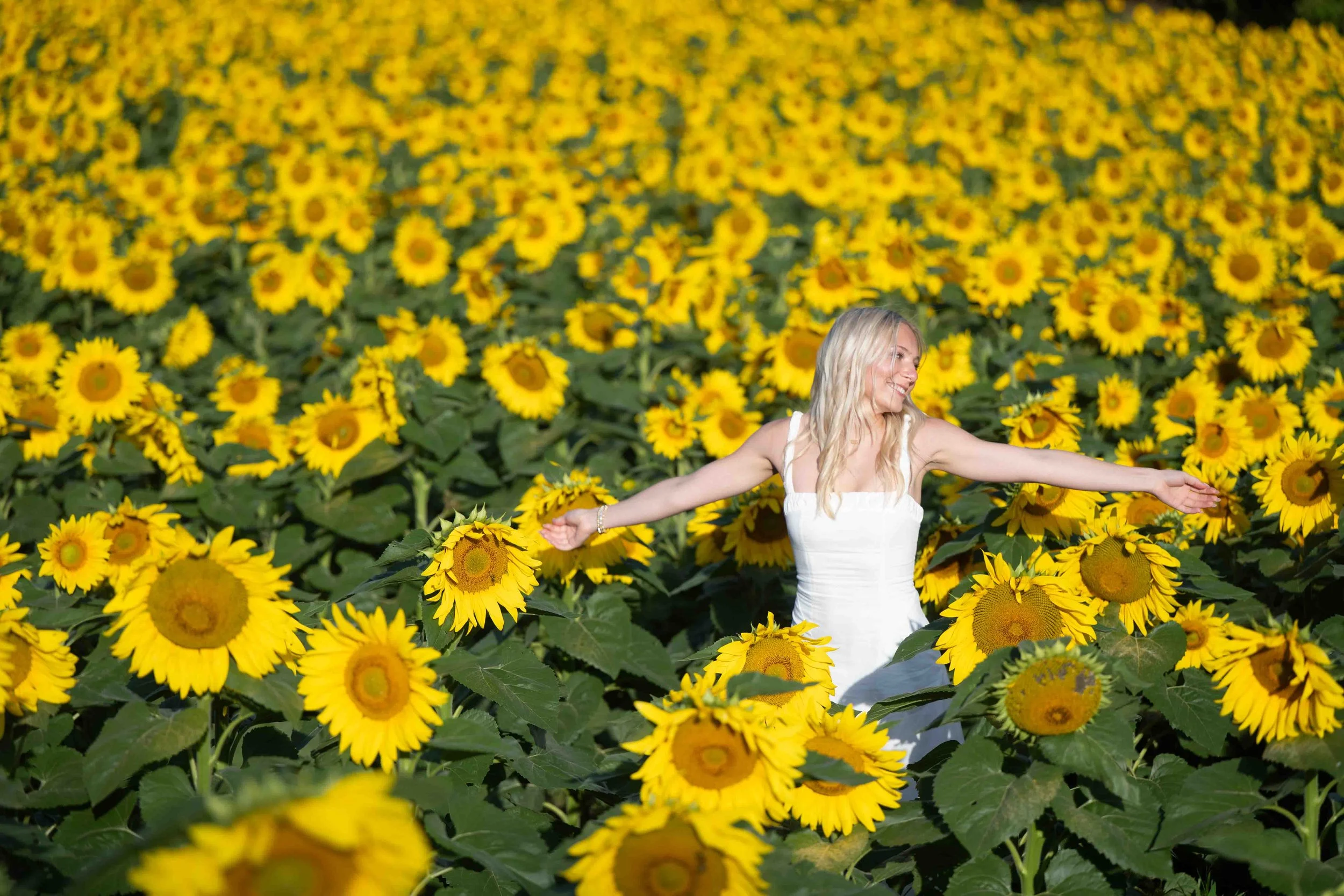 North Glow photography-4.jpg