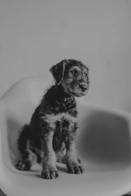 6C9FF5C3-5C55-4667-BCEE-1F84CB5141E5